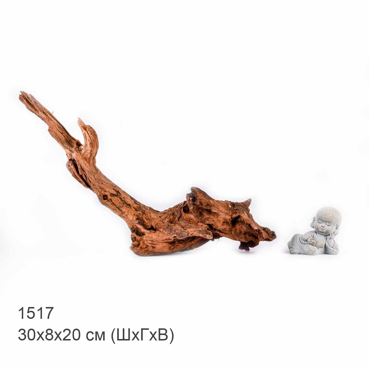 Коряга MASHA BLOOM "Железное дерево" затонувшая мангровая S - 1517