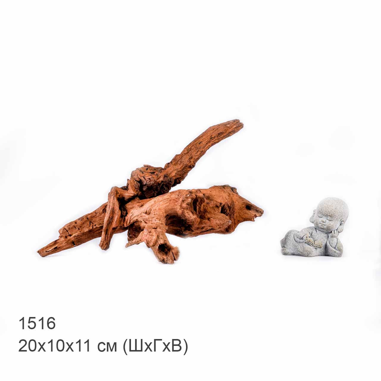 Коряга MASHA BLOOM "Железное дерево" затонувшая мангровая S - 1516