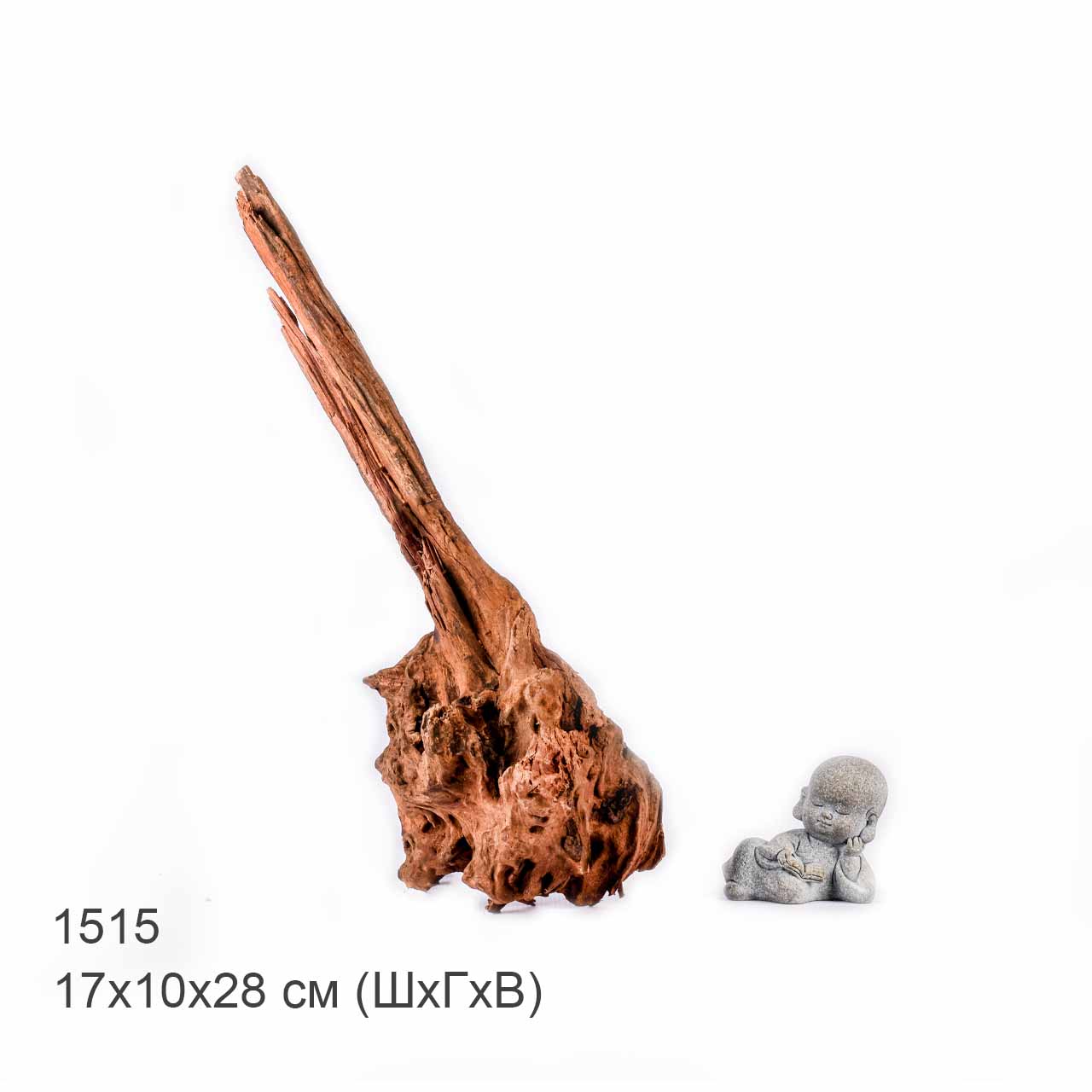 Коряга MASHA BLOOM "Железное дерево" затонувшая мангровая S - 1515