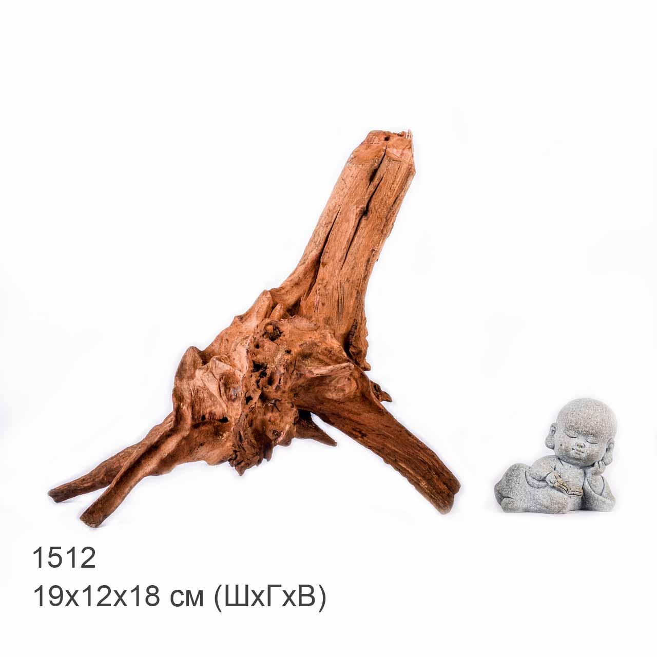 Коряга MASHA BLOOM "Железное дерево" затонувшая мангровая S - 1512