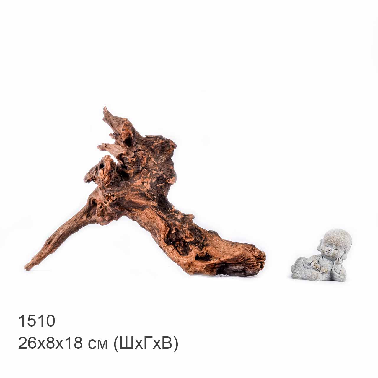 Коряга MASHA BLOOM "Железное дерево" затонувшая мангровая S - 1510