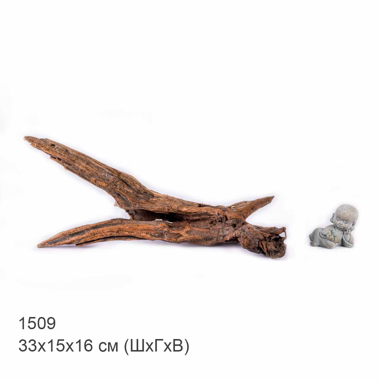 Коряга MASHA BLOOM "Железное дерево" затонувшая мангровая S - 1509