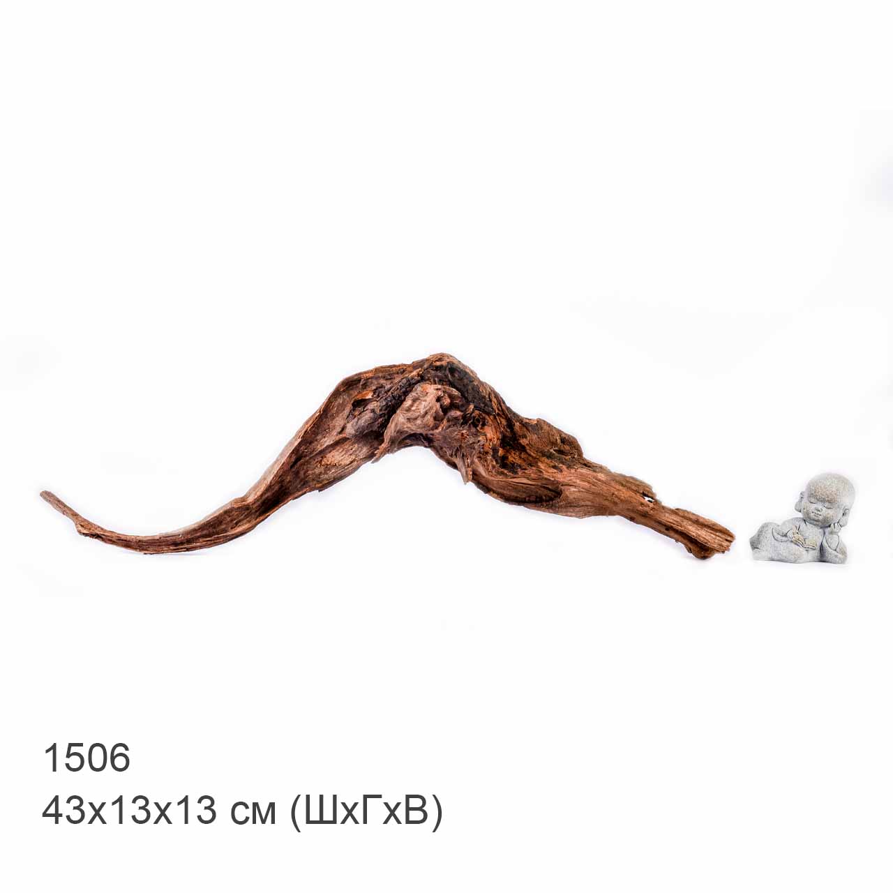 Коряга MASHA BLOOM "Железное дерево" затонувшая мангровая S - 1506