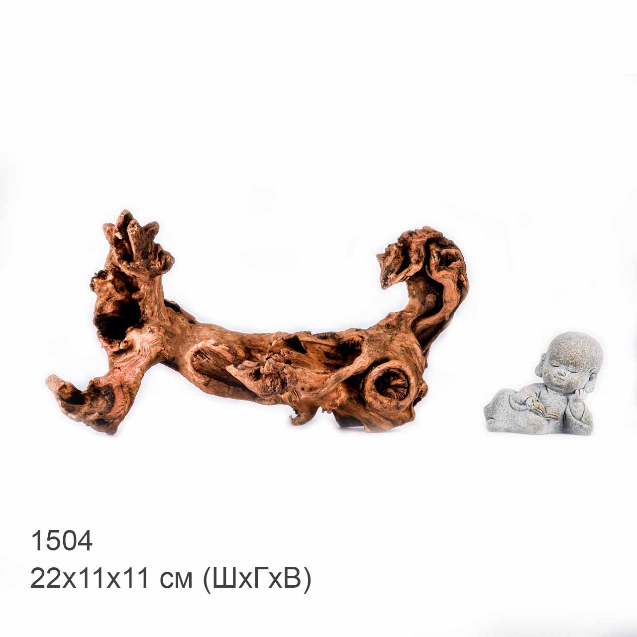 Коряга MASHA BLOOM "Железное дерево" затонувшая мангровая S - 1504