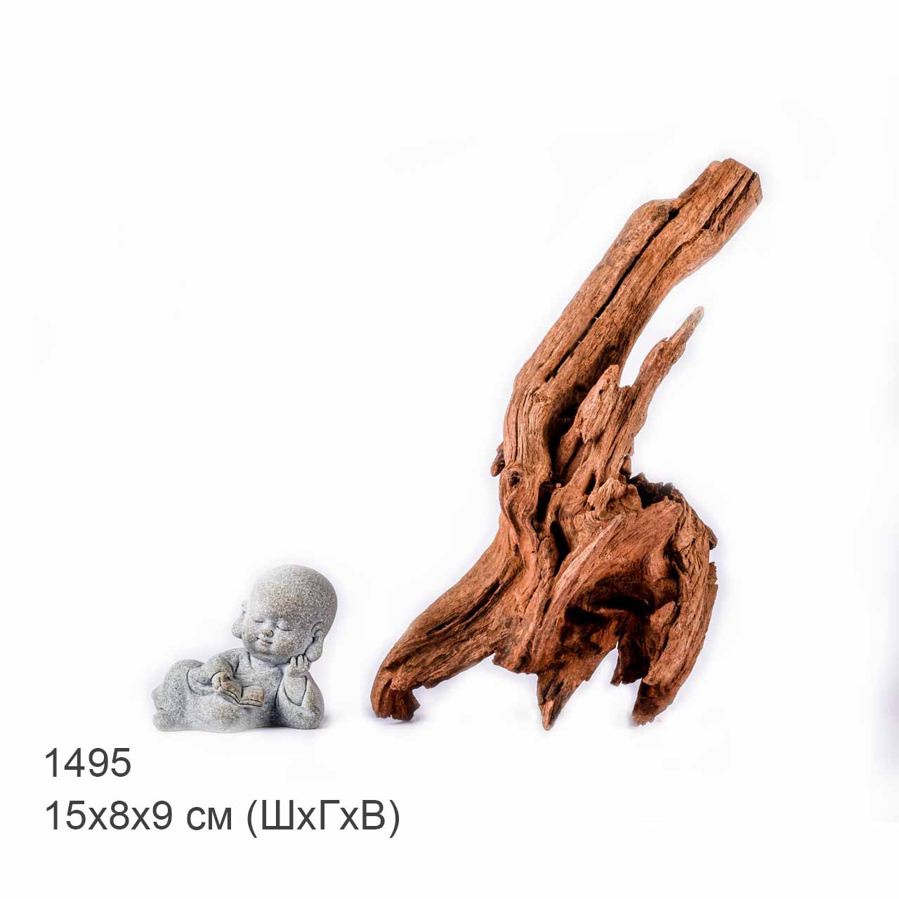 Коряга MASHA BLOOM "Железное дерево" затонувшая мангровая S - 1495