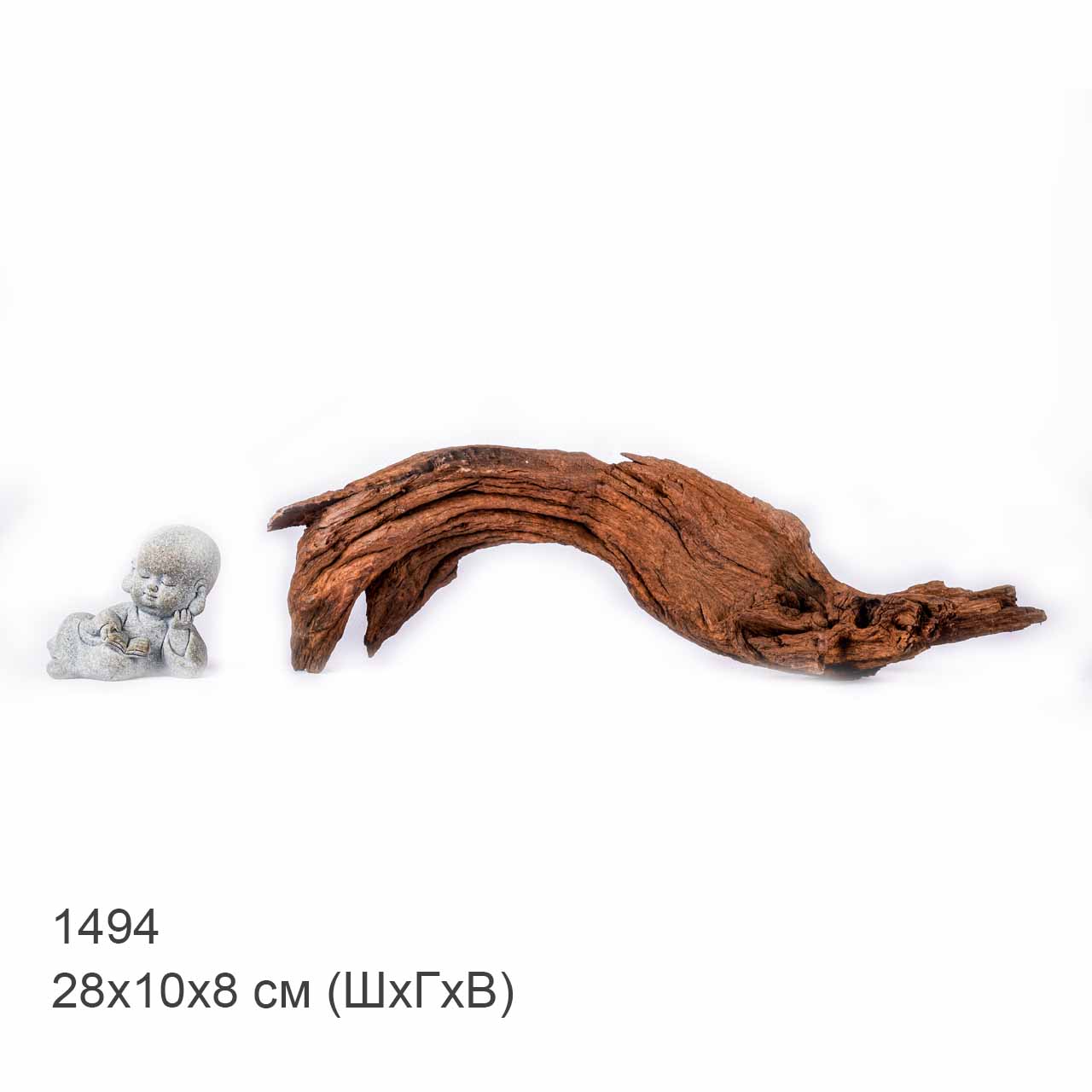 Коряга MASHA BLOOM "Железное дерево" затонувшая мангровая S - 1494