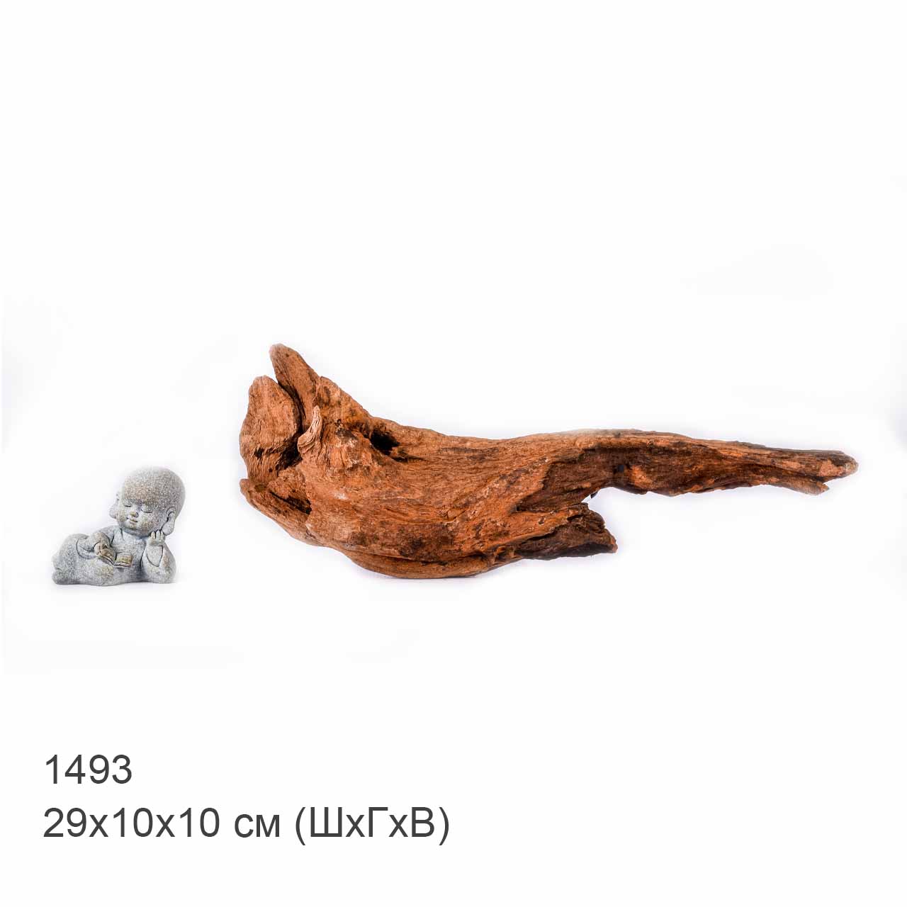 Коряга MASHA BLOOM "Железное дерево" затонувшая мангровая S - 1493