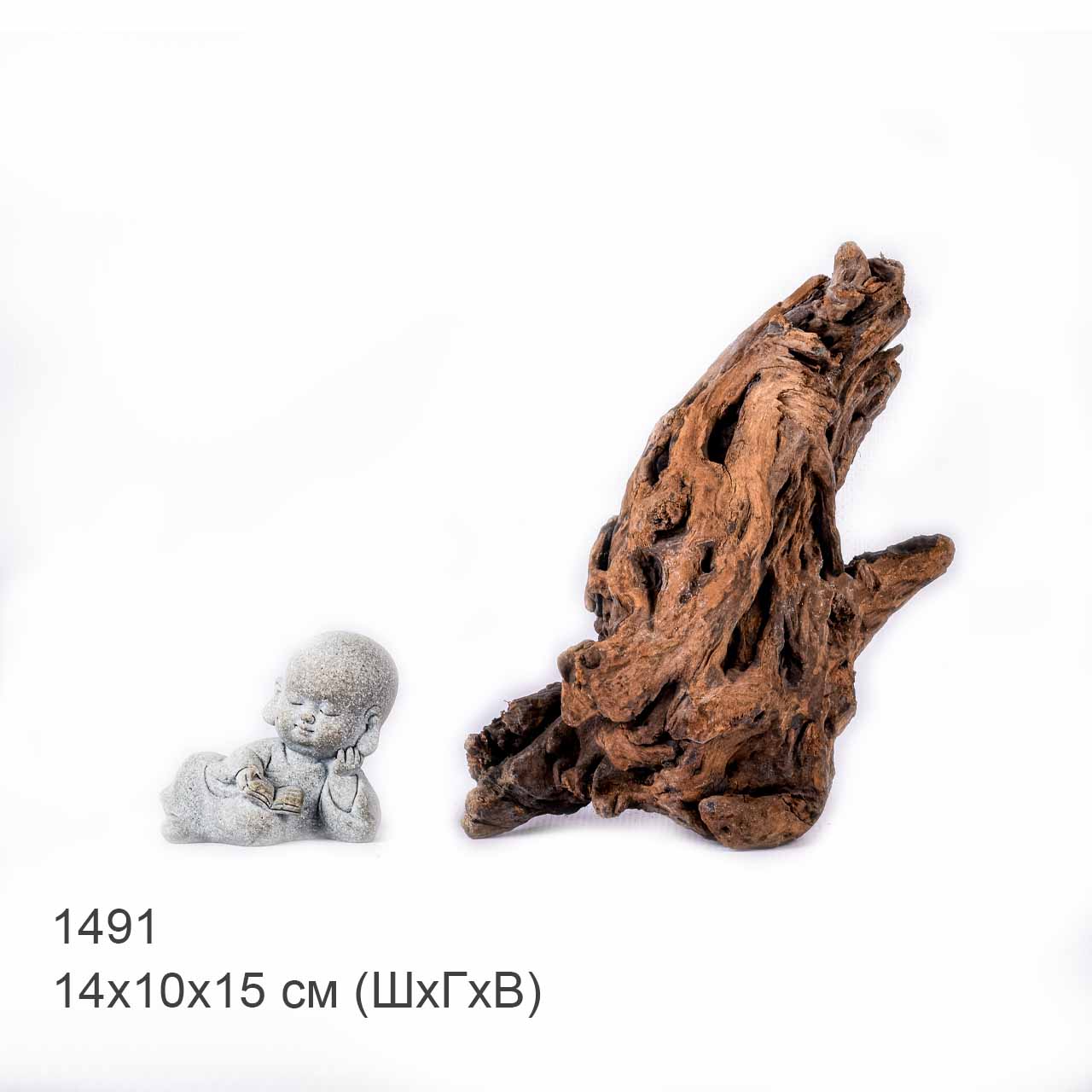 Коряга MASHA BLOOM "Железное дерево" затонувшая мангровая S - 1491