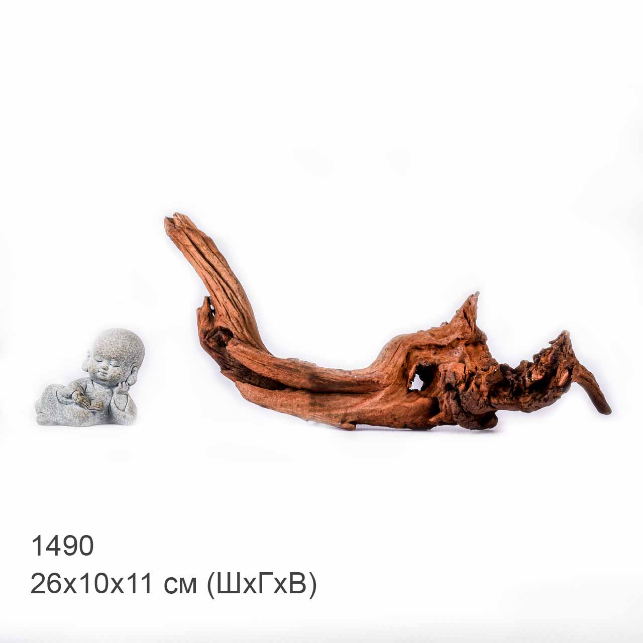 Коряга MASHA BLOOM "Железное дерево" затонувшая мангровая S - 1490