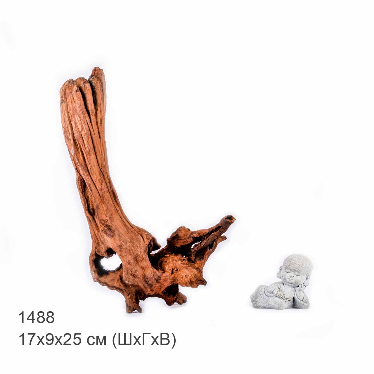 Коряга MASHA BLOOM "Железное дерево" затонувшая мангровая S - 1488