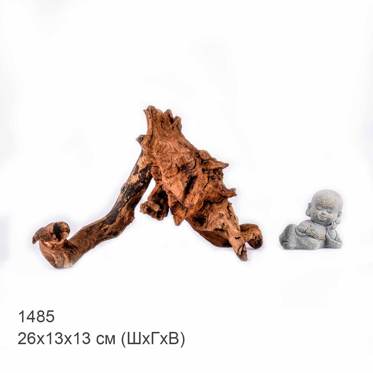 Коряга MASHA BLOOM "Железное дерево" затонувшая мангровая S - 1485