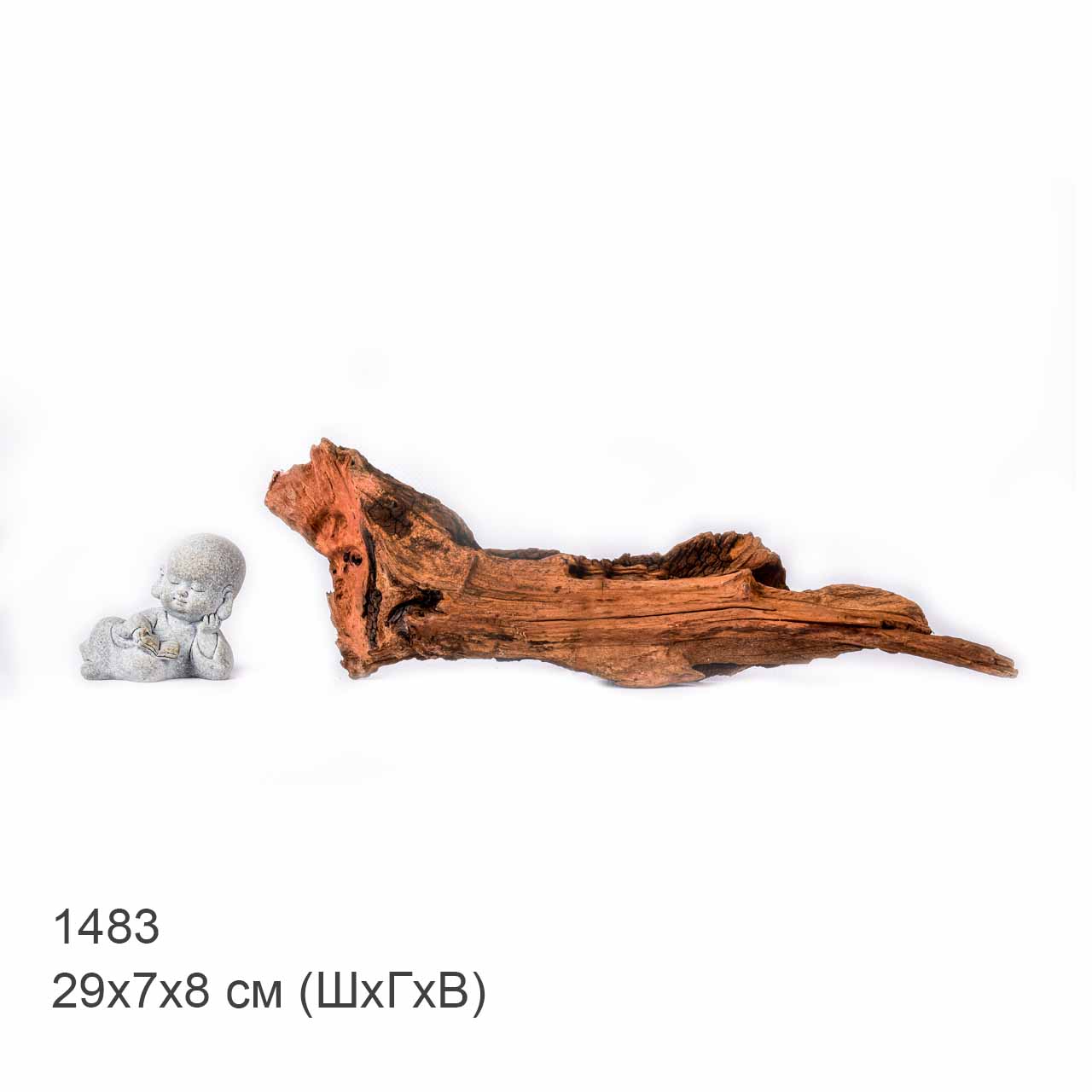 Коряга MASHA BLOOM "Железное дерево" затонувшая мангровая S - 1483