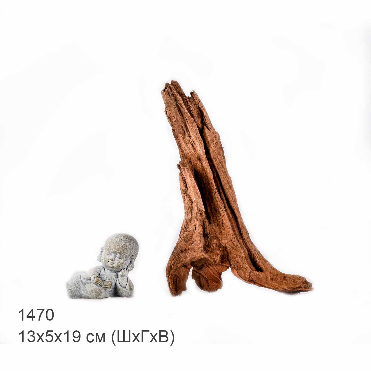 Коряга MASHA BLOOM "Железное дерево" затонувшая мангровая S - 1470