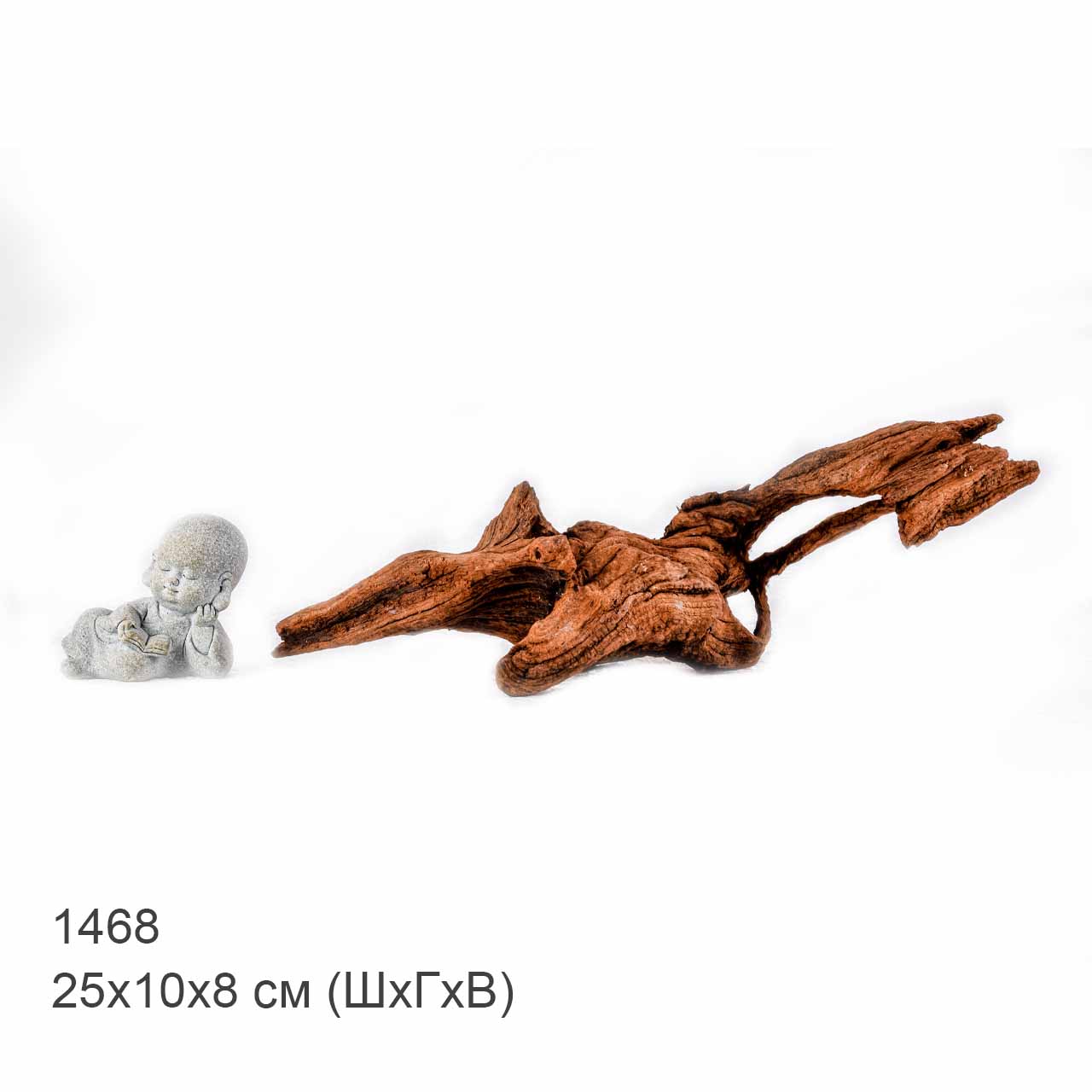 Коряга MASHA BLOOM "Железное дерево" затонувшая мангровая S - 1468