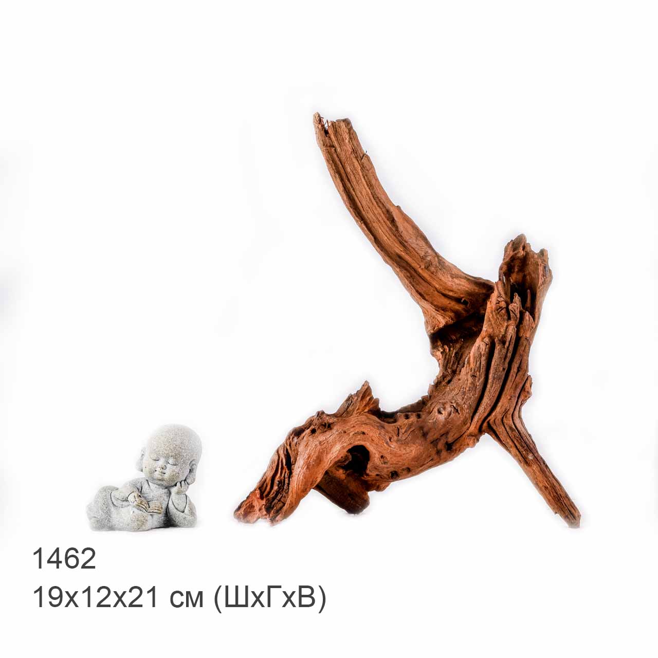 Коряга MASHA BLOOM "Железное дерево" затонувшая мангровая S - 1462