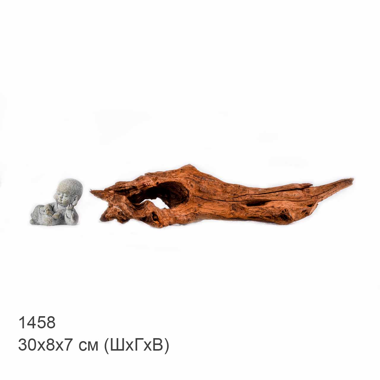 Коряга MASHA BLOOM "Железное дерево" затонувшая мангровая S - 1458