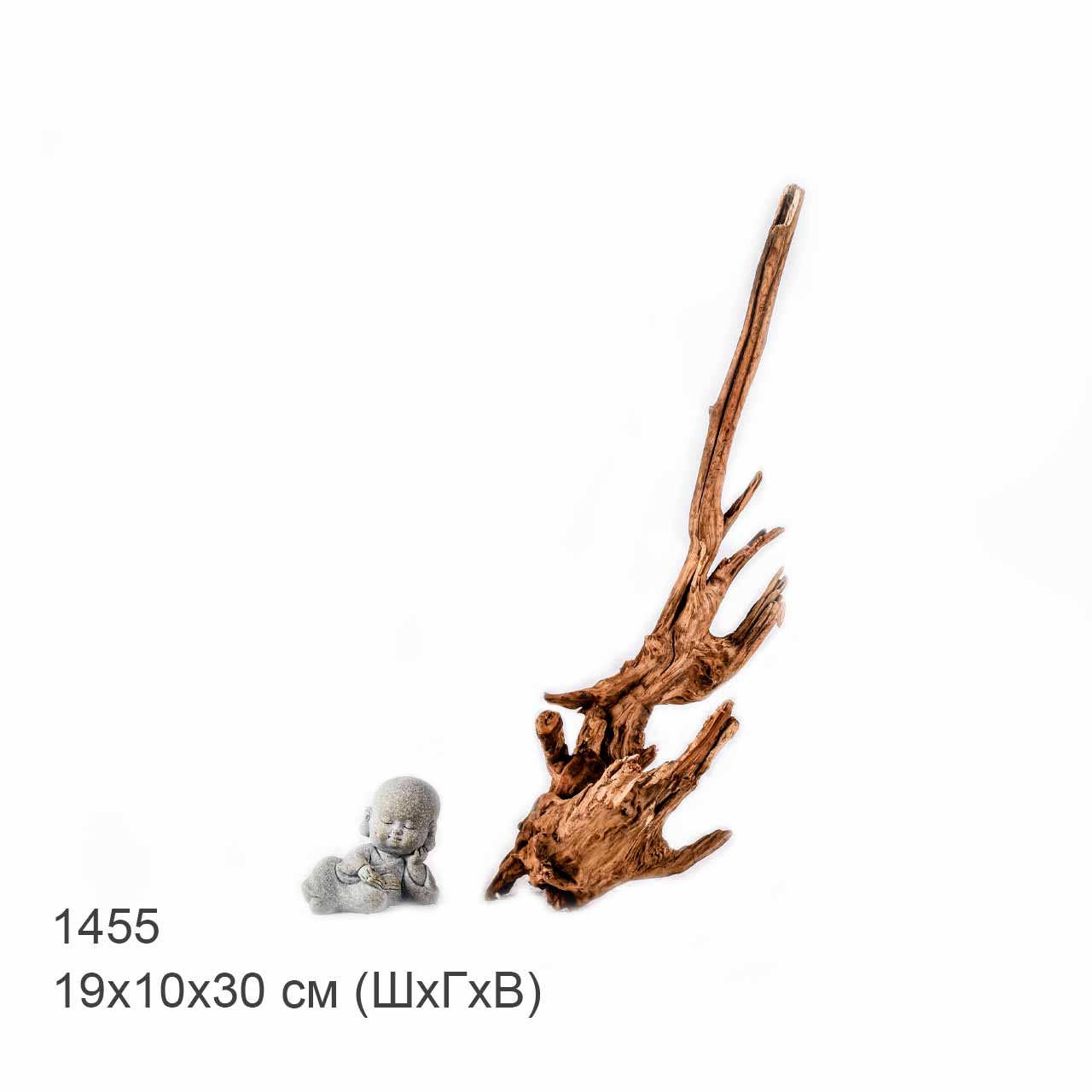Коряга MASHA BLOOM "Железное дерево" затонувшая мангровая S - 1455