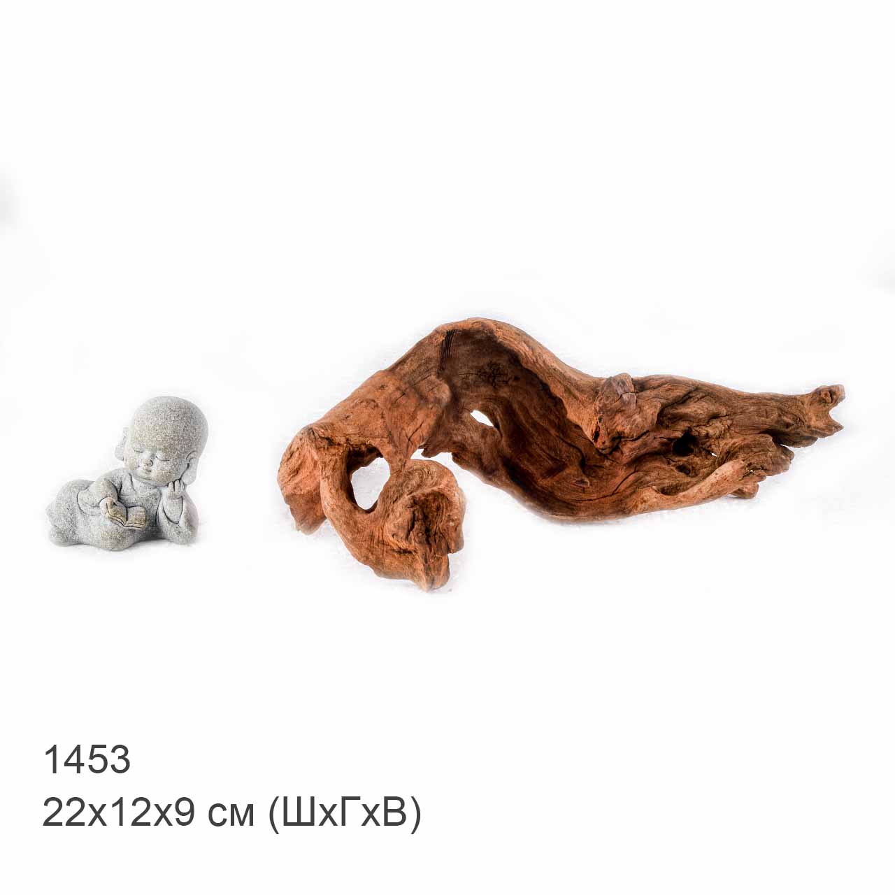 Коряга MASHA BLOOM "Железное дерево" затонувшая мангровая S - 1453