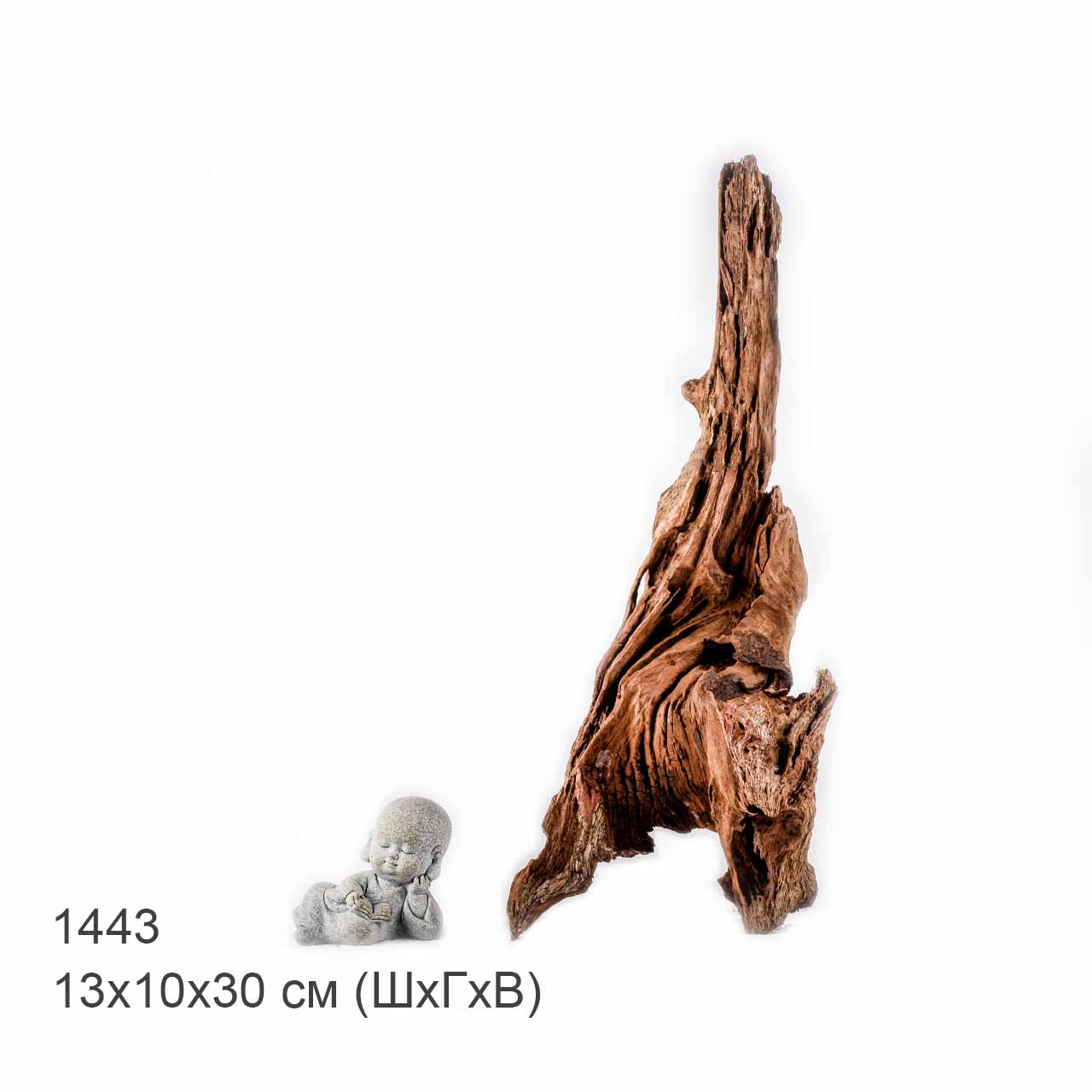 Коряга MASHA BLOOM "Железное дерево" затонувшая мангровая S - 1443