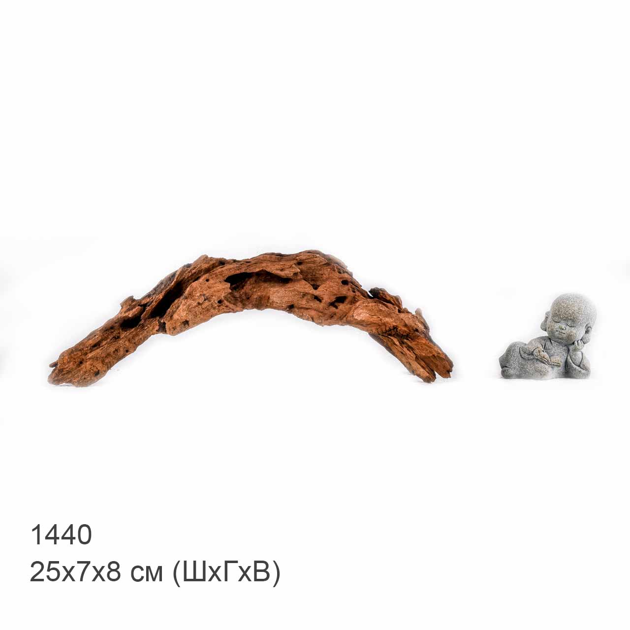 Коряга MASHA BLOOM "Железное дерево" затонувшая мангровая S - 1440