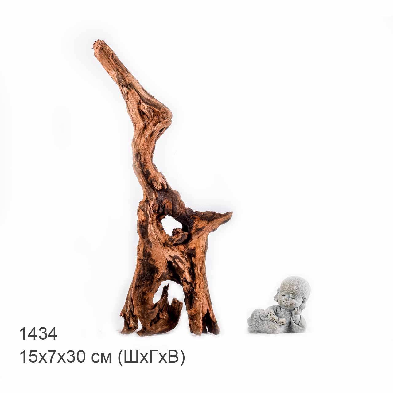 Коряга MASHA BLOOM "Железное дерево" затонувшая мангровая S - 1434