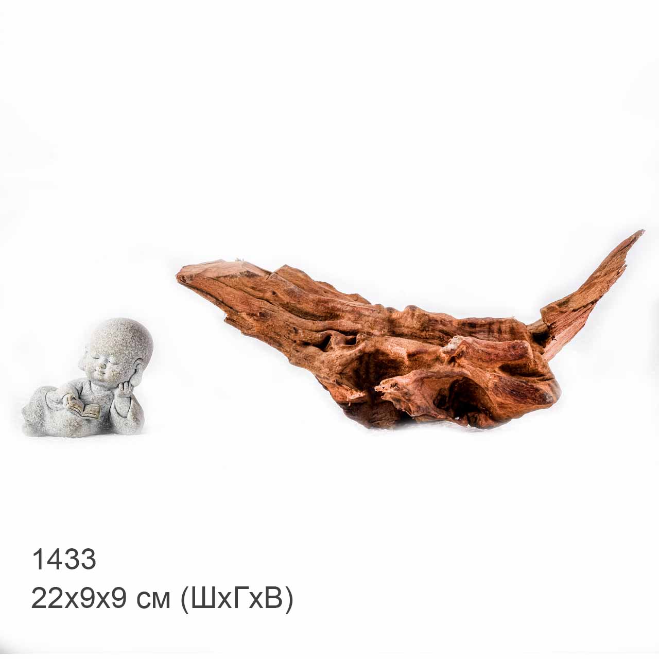 Коряга MASHA BLOOM "Железное дерево" затонувшая мангровая S - 1433