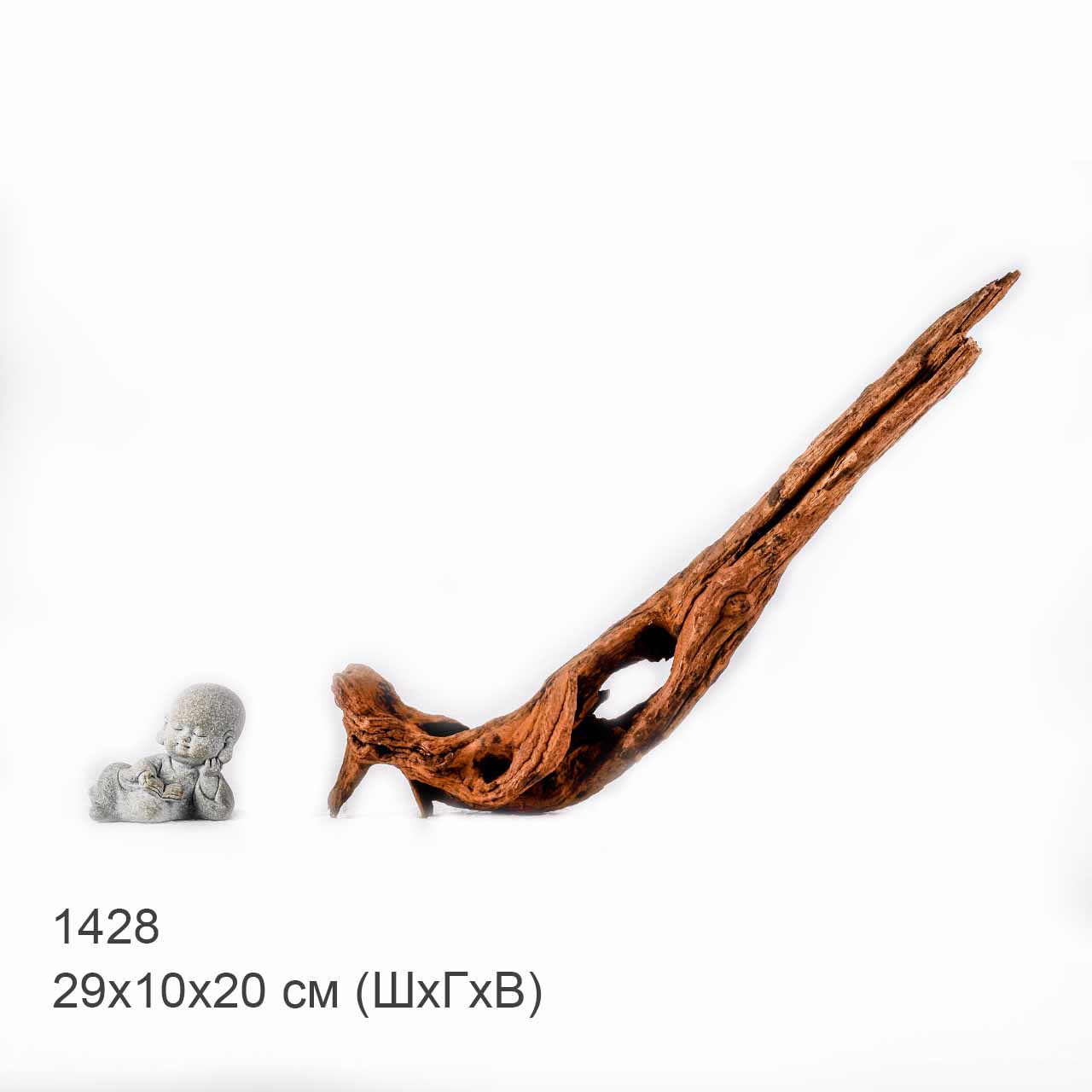 Коряга MASHA BLOOM "Железное дерево" затонувшая мангровая S - 1428