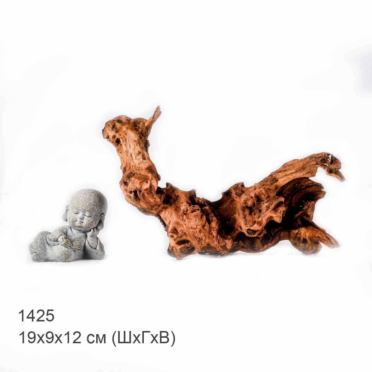 Коряга MASHA BLOOM "Железное дерево" затонувшая мангровая S - 1425