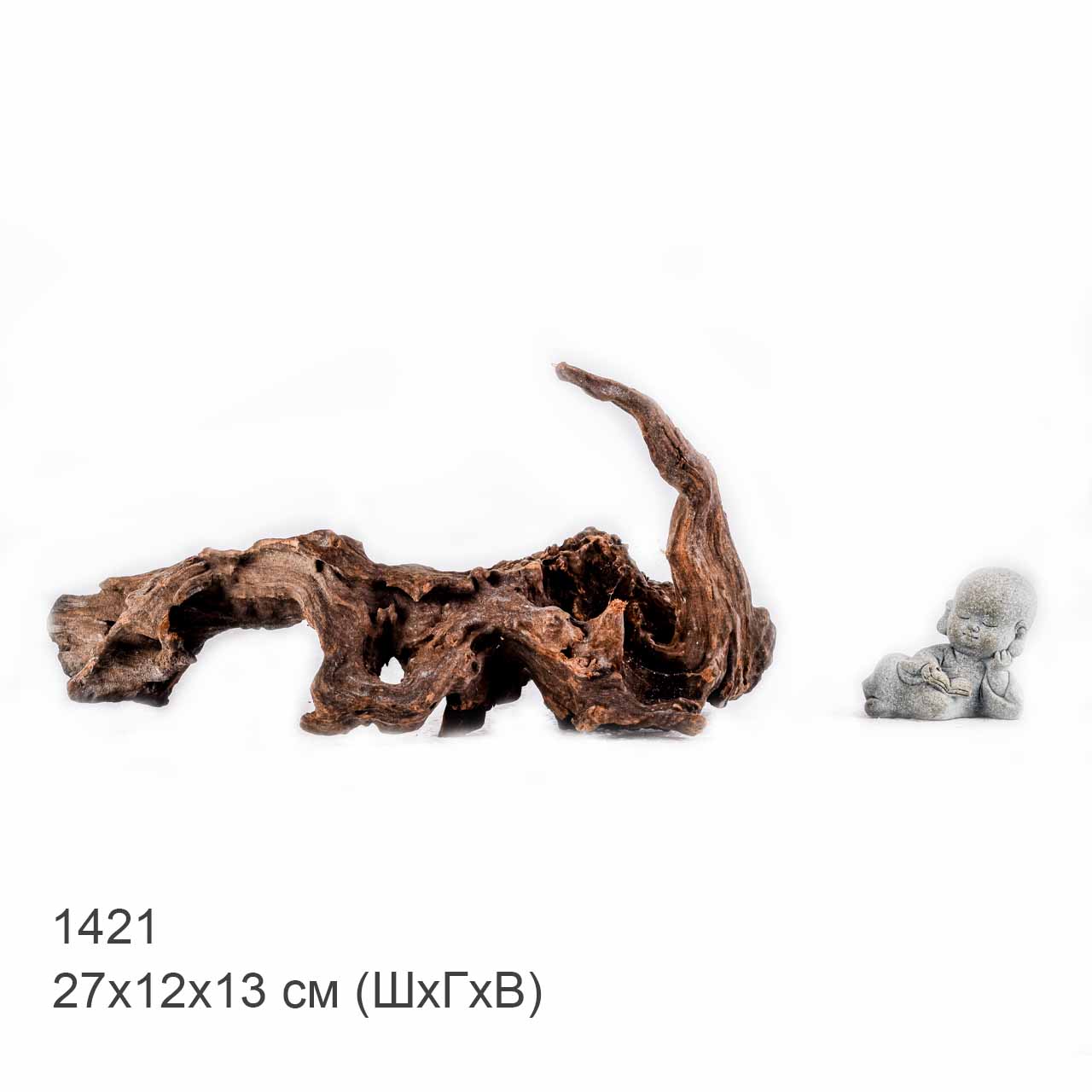 Коряга MASHA BLOOM "Железное дерево" затонувшая мангровая S - 1421