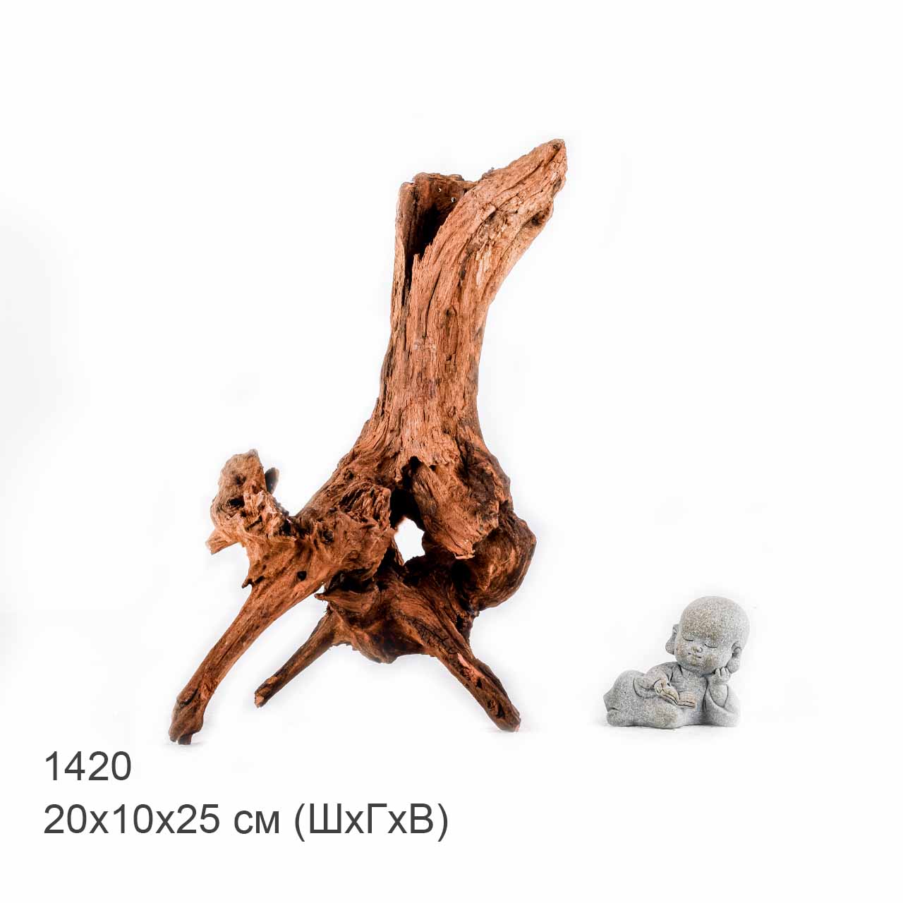 Коряга MASHA BLOOM "Железное дерево" затонувшая мангровая S - 1420