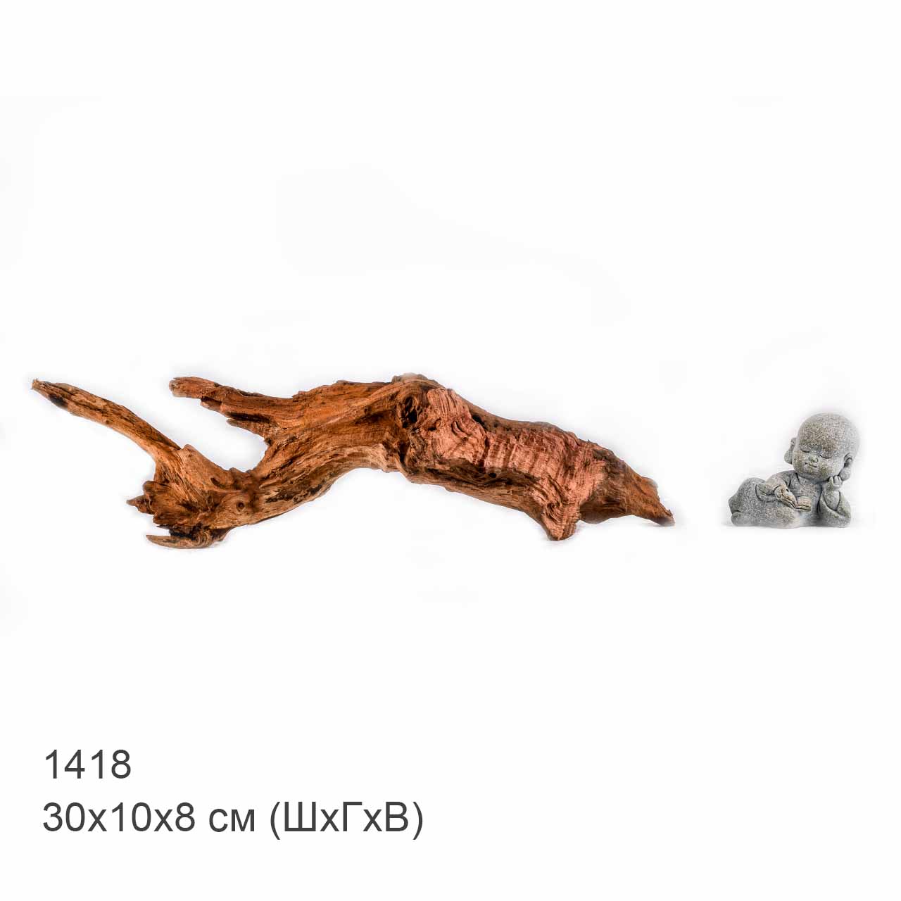 Коряга MASHA BLOOM "Железное дерево" затонувшая мангровая S - 1418