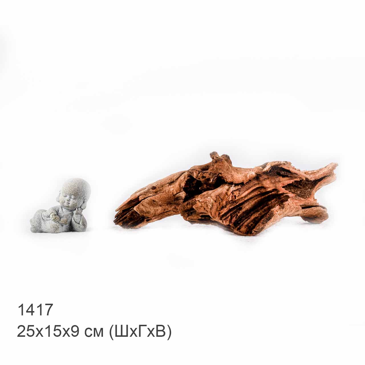 Коряга MASHA BLOOM "Железное дерево" затонувшая мангровая S - 1417