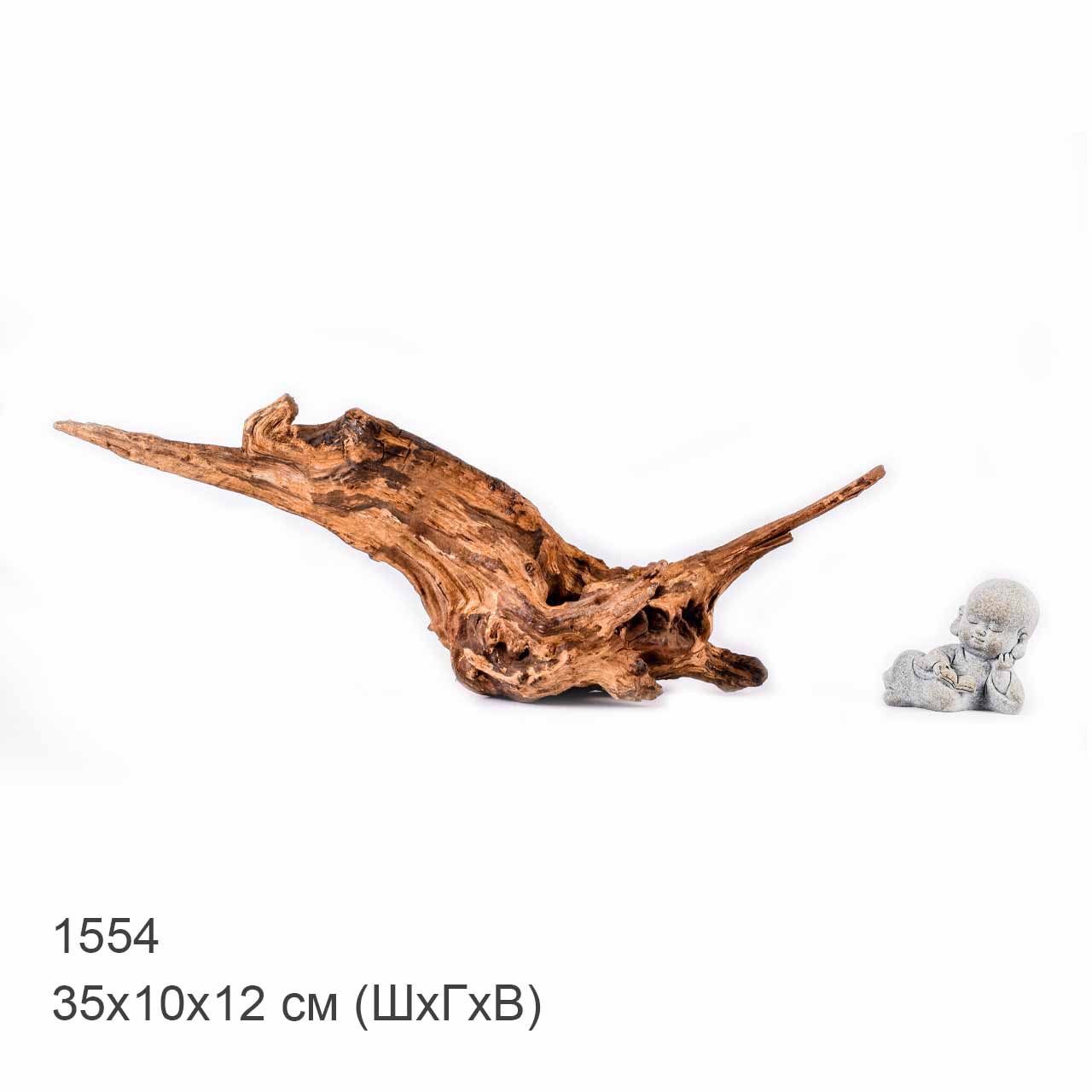 Коряга MASHA BLOOM "Железное дерево" затонувшая мангровая S - 1554