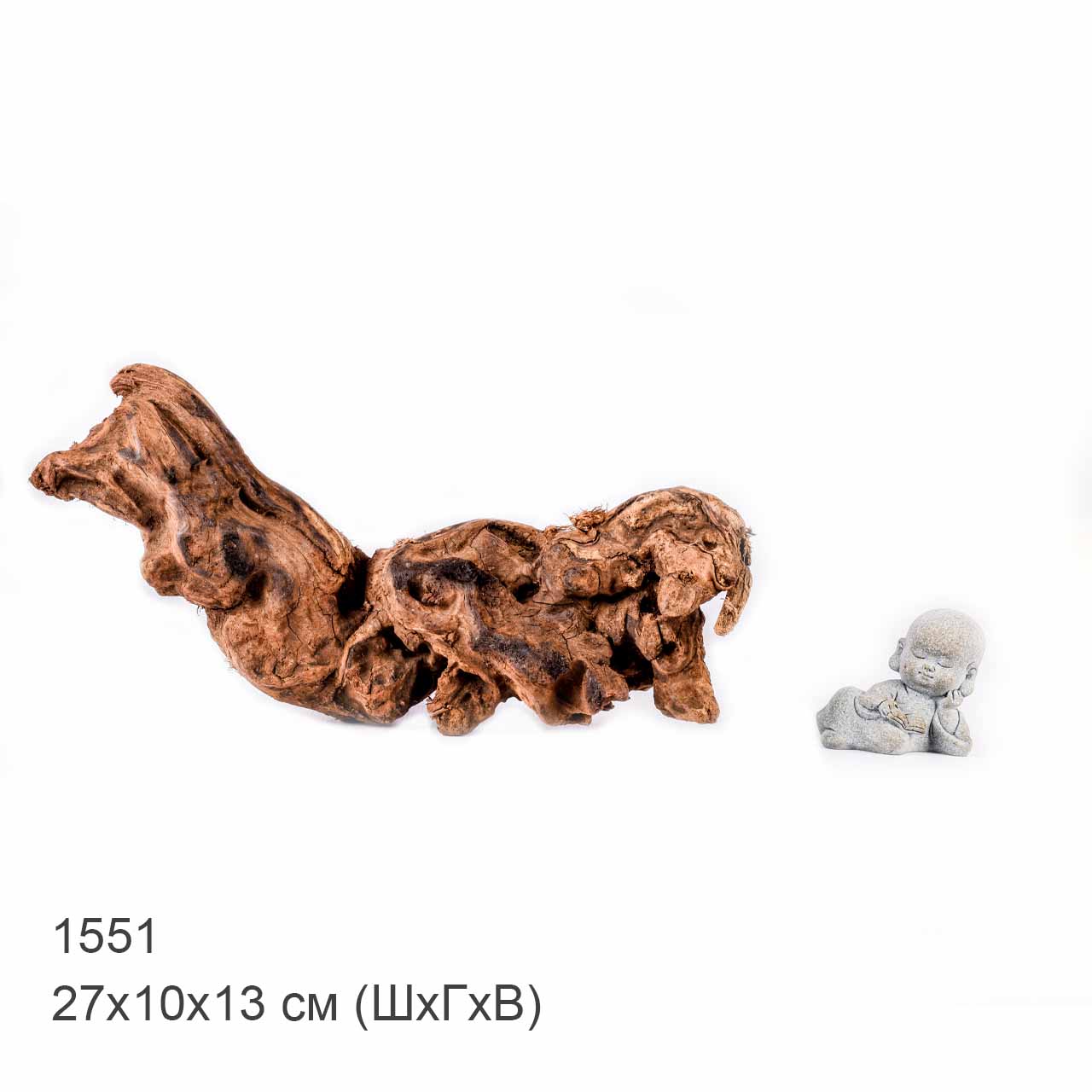 Коряга MASHA BLOOM "Железное дерево" затонувшая мангровая S - 1551