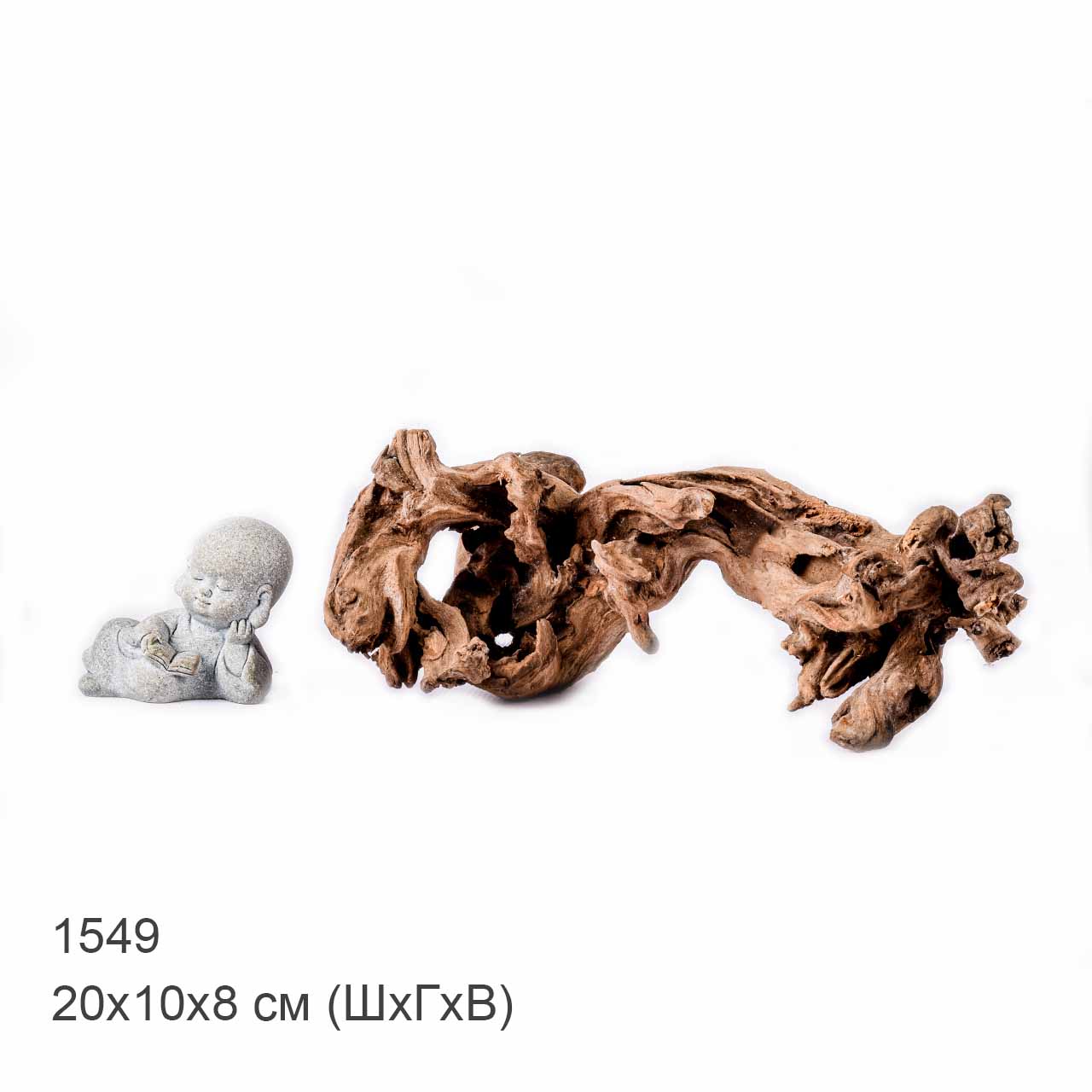 Коряга MASHA BLOOM "Железное дерево" затонувшая мангровая S - 1549