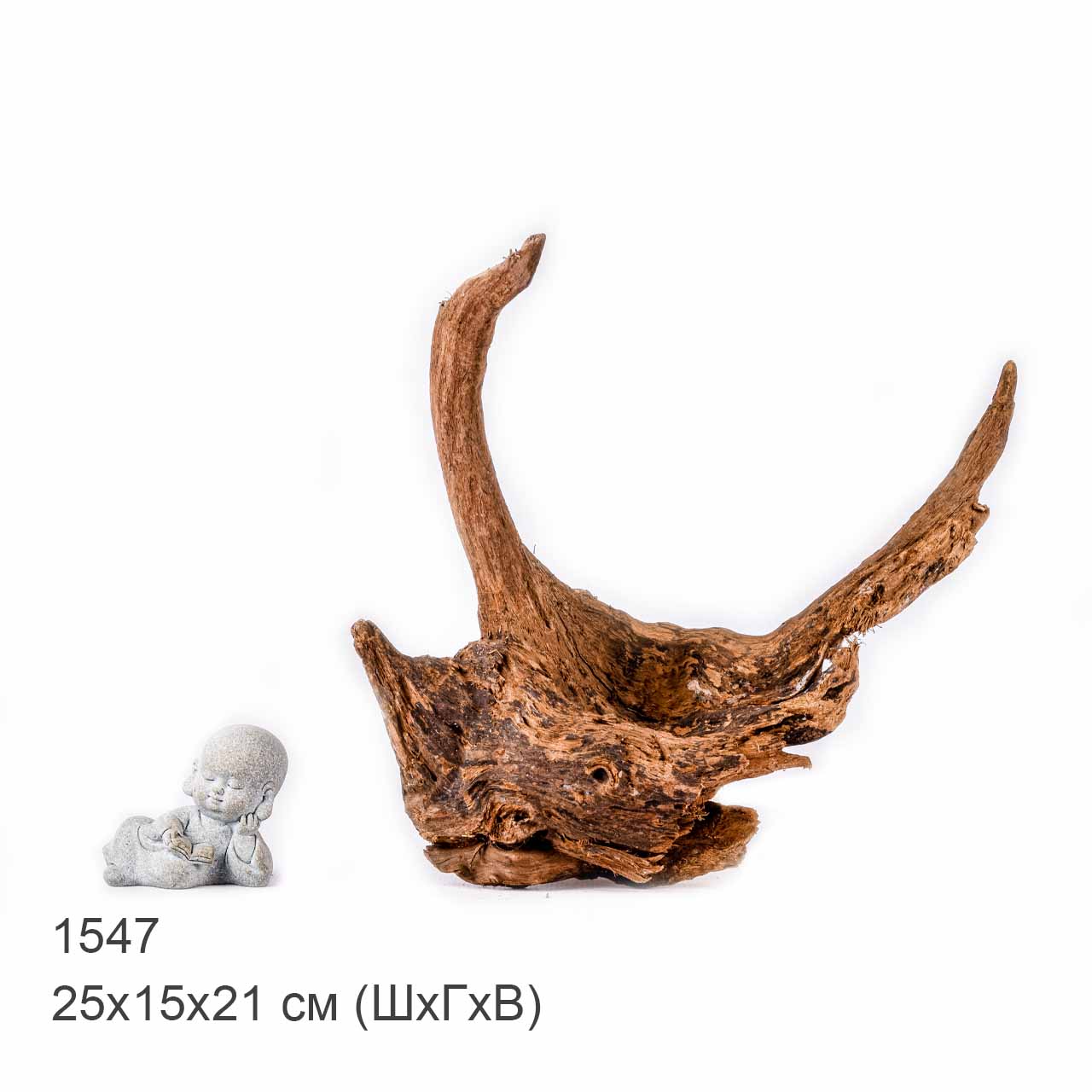 Коряга MASHA BLOOM "Железное дерево" затонувшая мангровая S - 1547