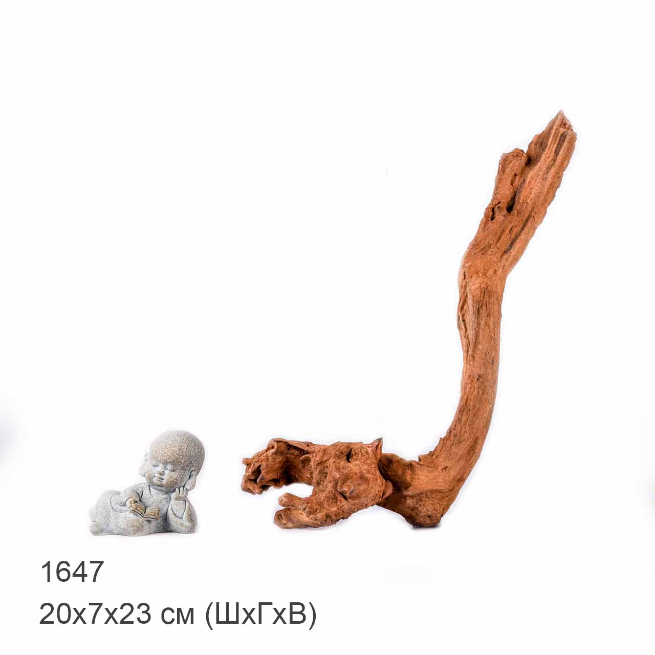 Коряга MASHA BLOOM "Железное дерево" затонувшая мангровая XS - 1647