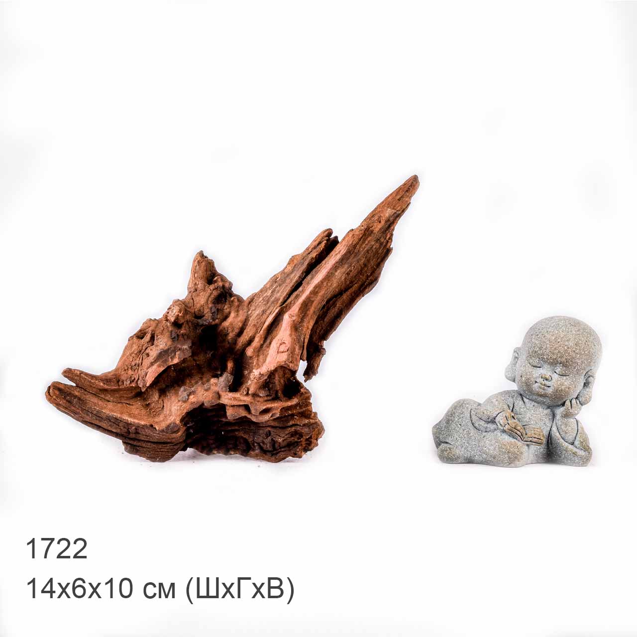 Коряга MASHA BLOOM "Железное дерево" затонувшая мангровая XS - 1722