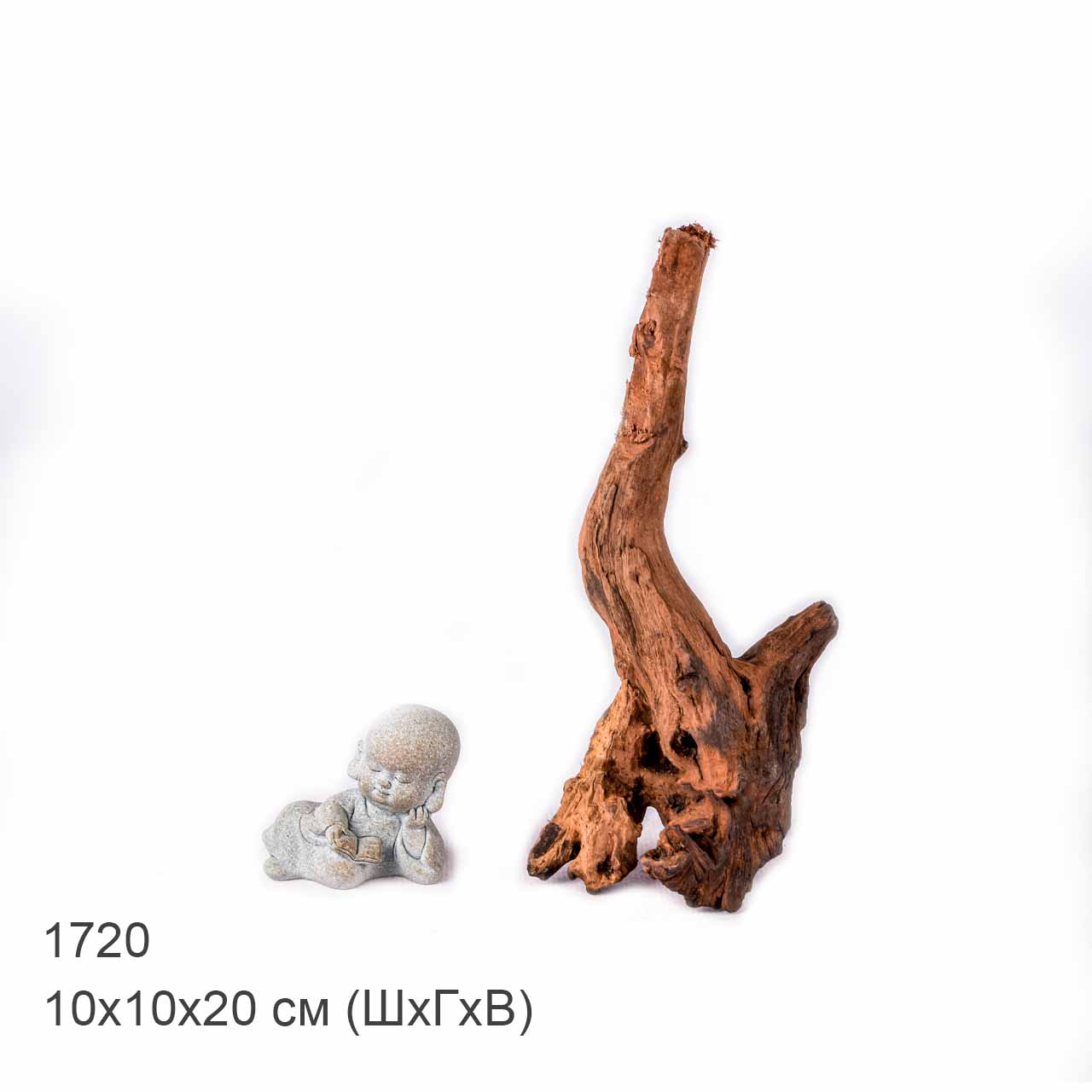 Коряга MASHA BLOOM "Железное дерево" затонувшая мангровая XS - 1720