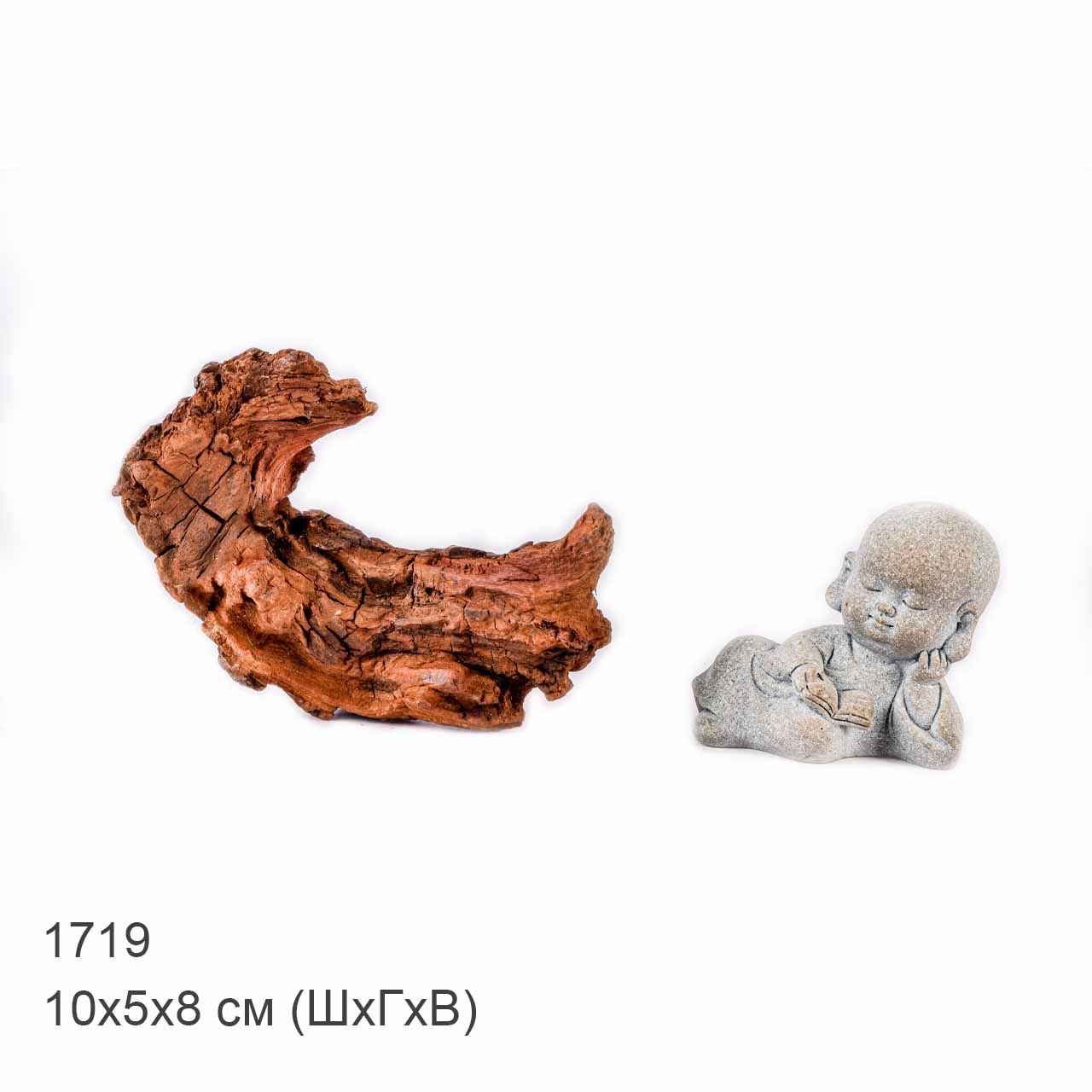 Коряга MASHA BLOOM "Железное дерево" затонувшая мангровая XS - 1719