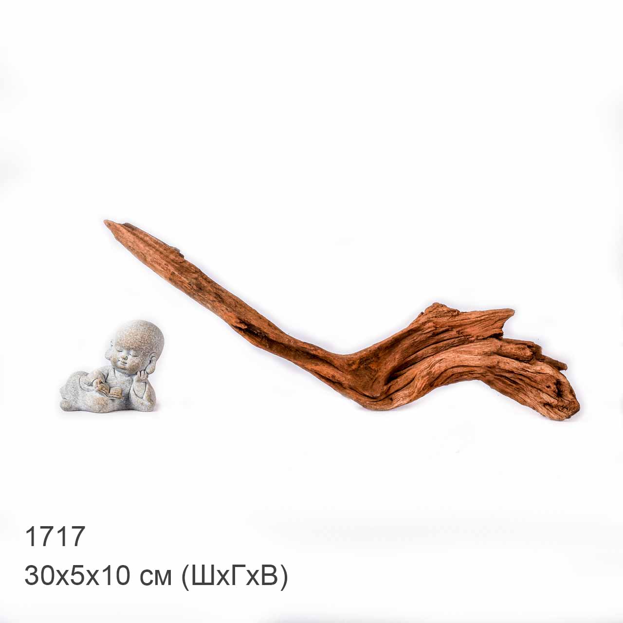 Коряга MASHA BLOOM "Железное дерево" затонувшая мангровая XS - 1717