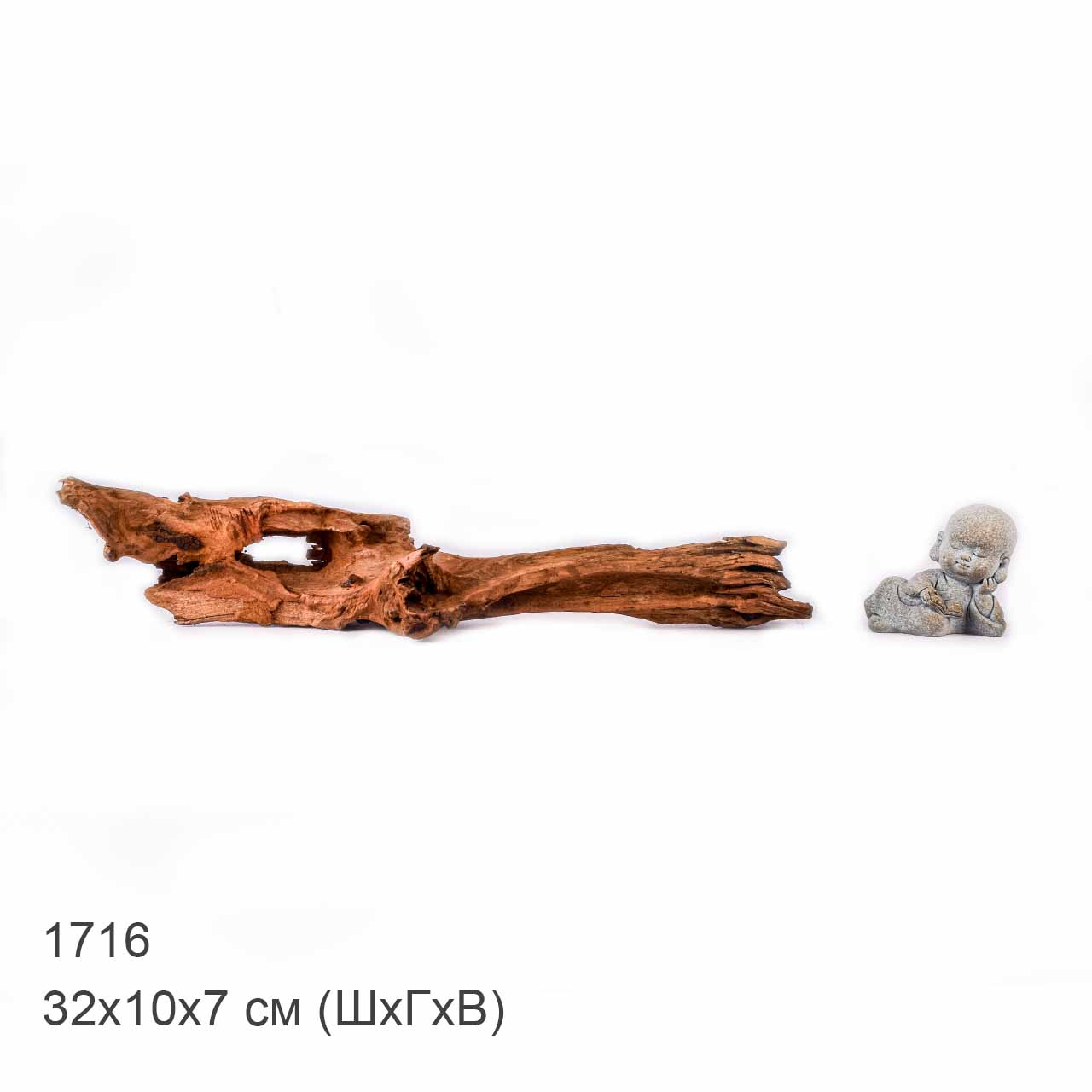 Коряга MASHA BLOOM "Железное дерево" затонувшая мангровая XS - 1716