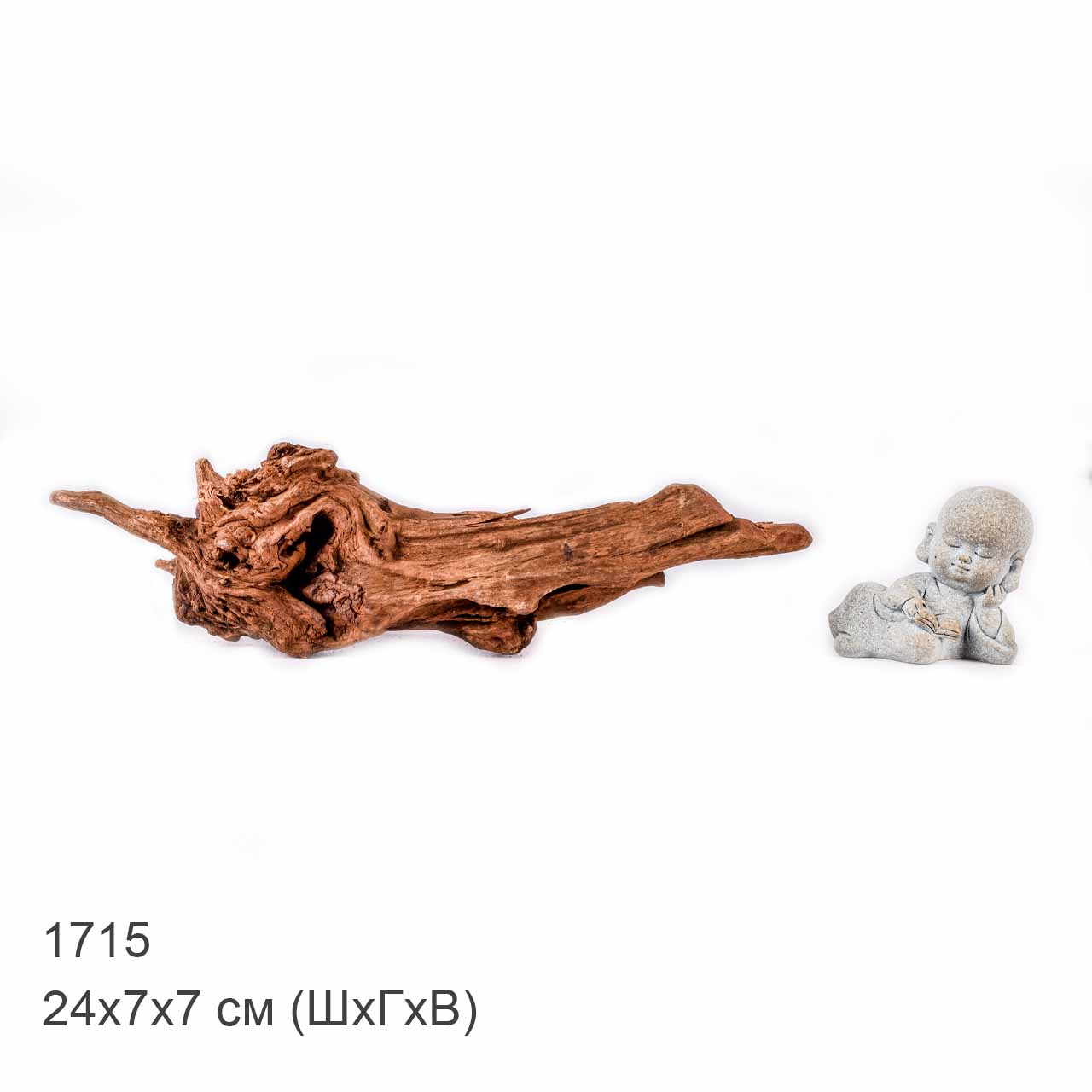 Коряга MASHA BLOOM "Железное дерево" затонувшая мангровая XS - 1715