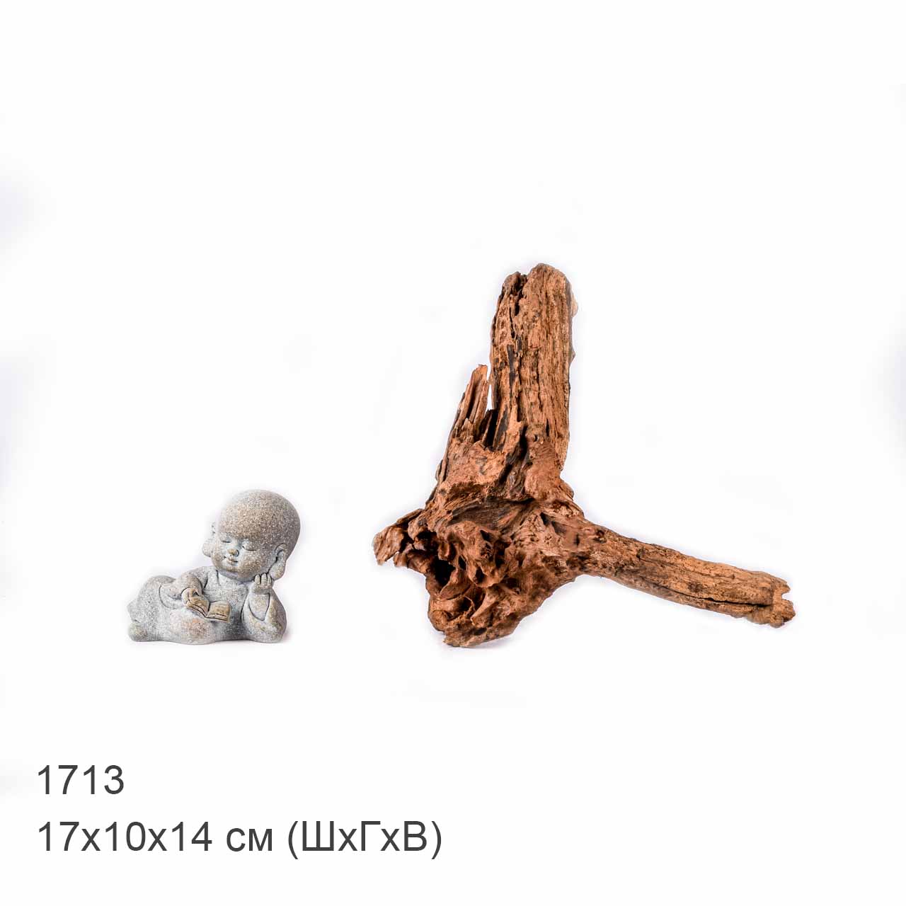 Коряга MASHA BLOOM "Железное дерево" затонувшая мангровая XS - 1713