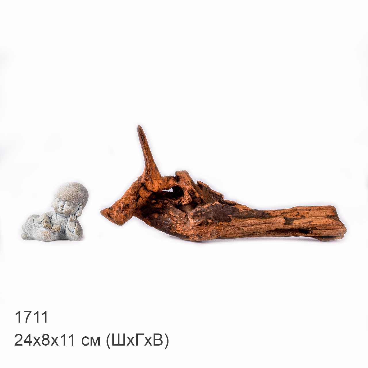 Коряга MASHA BLOOM "Железное дерево" затонувшая мангровая XS - 1711