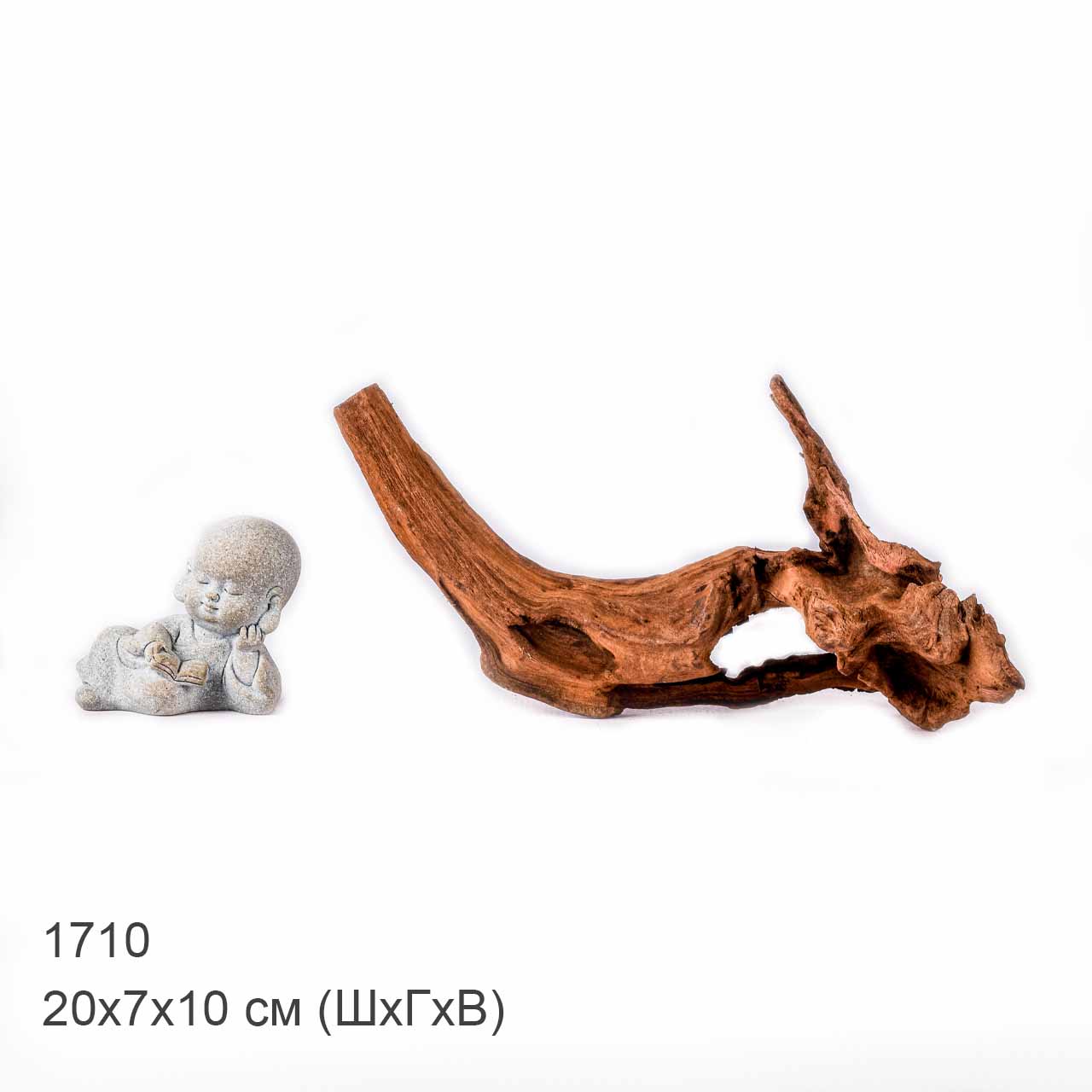 Коряга MASHA BLOOM "Железное дерево" затонувшая мангровая XS - 1710