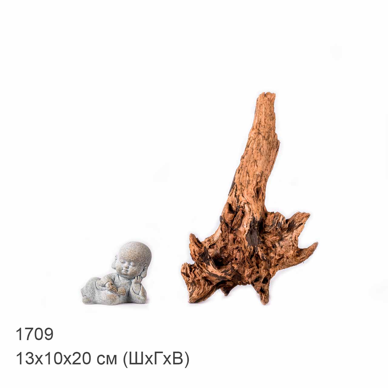 Коряга MASHA BLOOM "Железное дерево" затонувшая мангровая XS - 1709