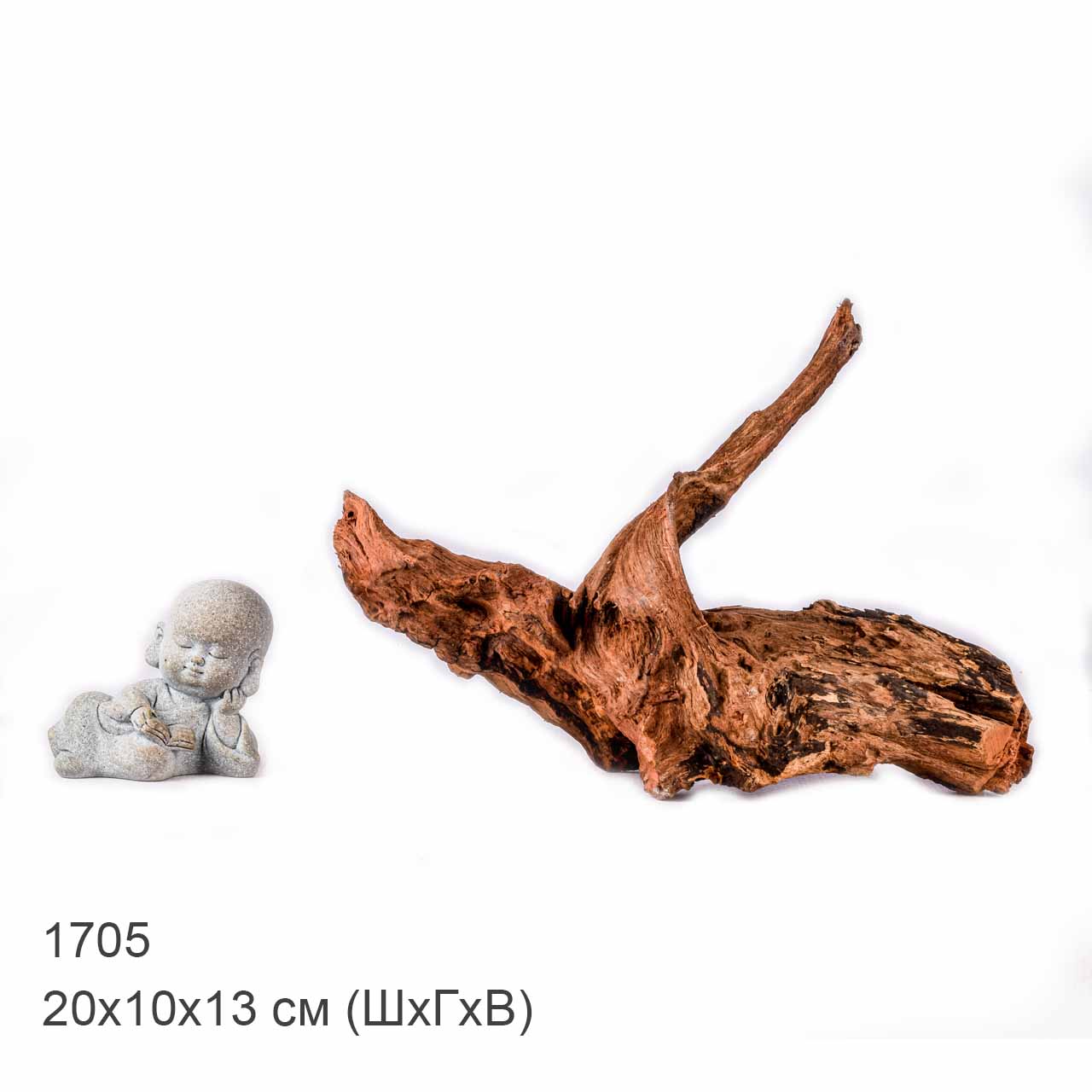 Коряга MASHA BLOOM "Железное дерево" затонувшая мангровая XS - 1705