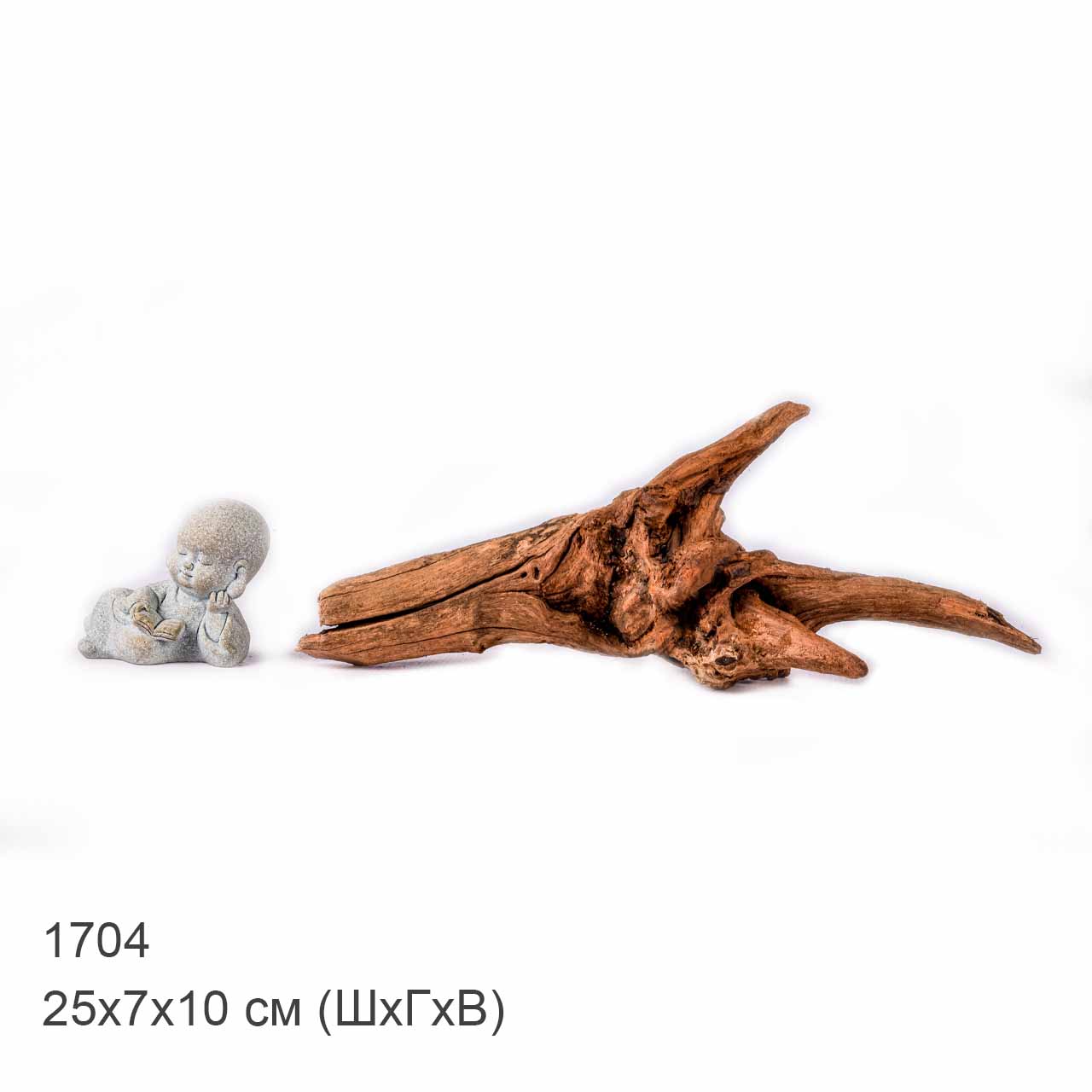 Коряга MASHA BLOOM "Железное дерево" затонувшая мангровая XS - 1704