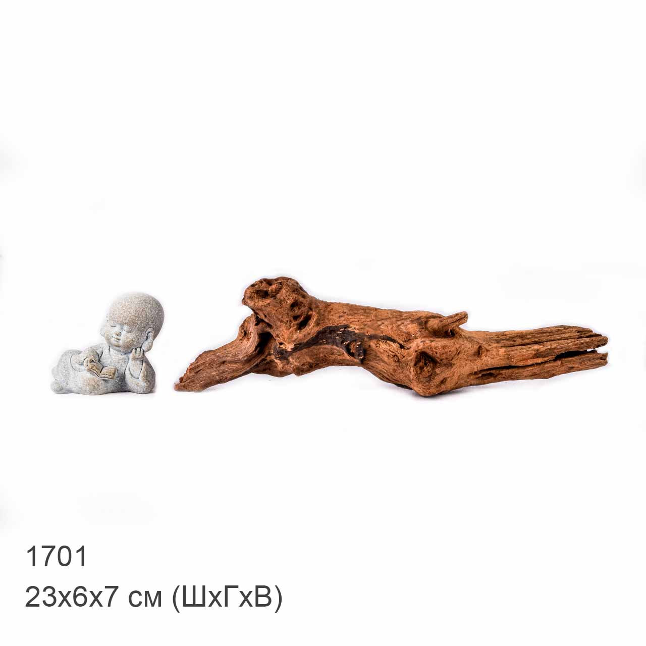 Коряга MASHA BLOOM "Железное дерево" затонувшая мангровая XS - 1701